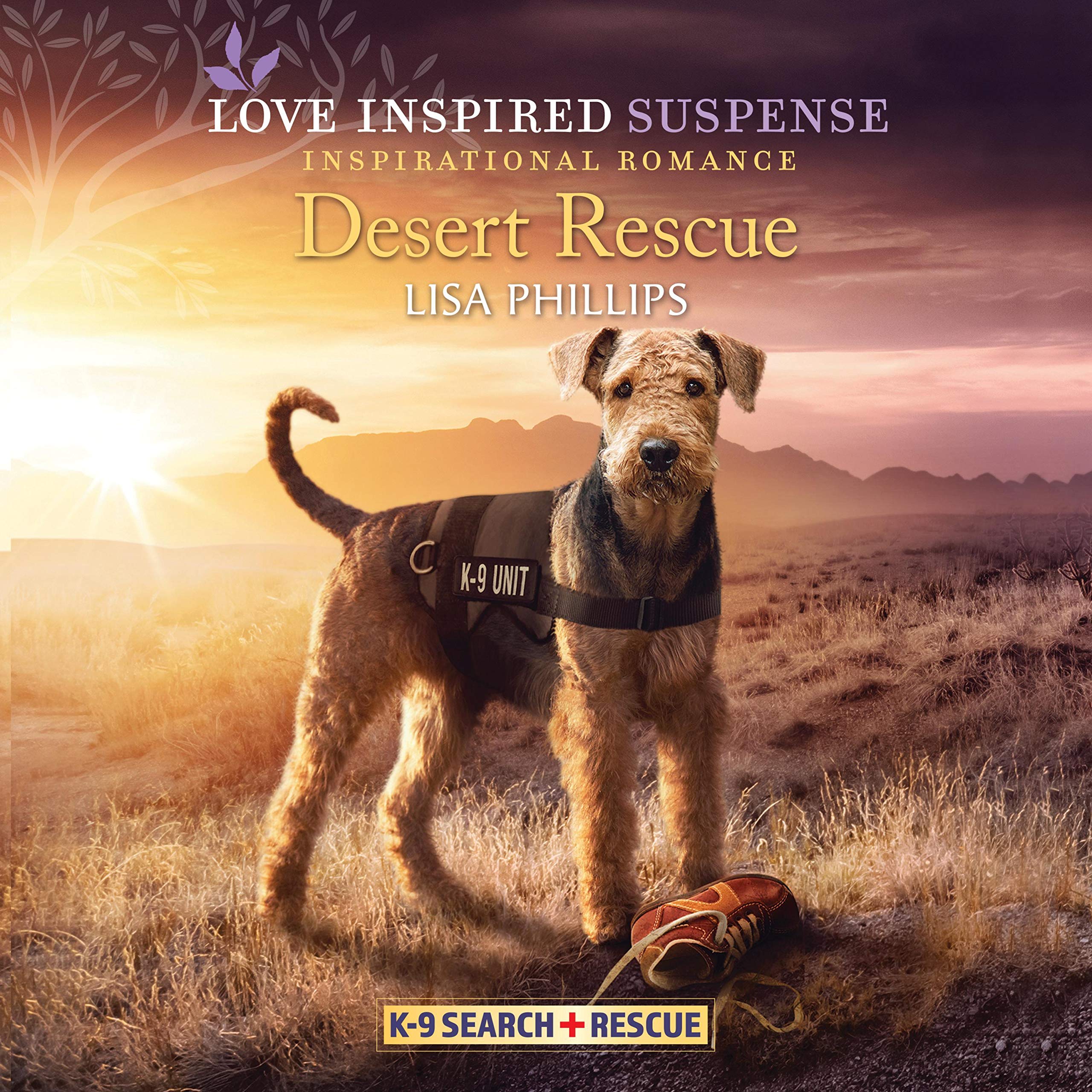 Cover art for Desert Rescue