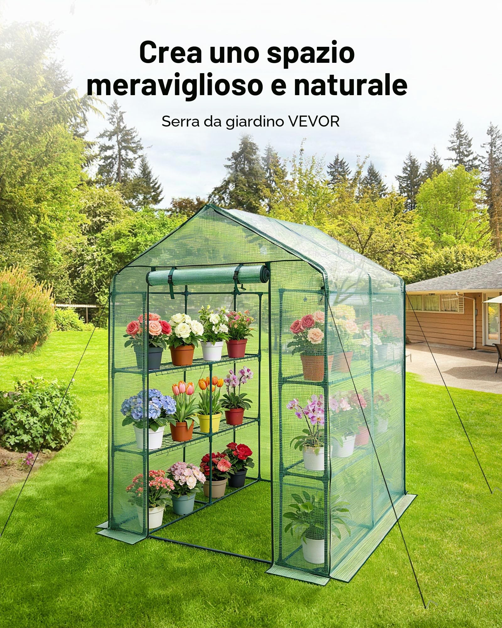 VEVOR Serra Portatile con Ripiani Telone in PE Porta Arrotolabile 141 x 141 x 200 cm Carico Massimo 15 kg da Giardino Cortile Terrazza Struttura Pieghevole, Serra con Ripiani per Piante Fiori Verdure