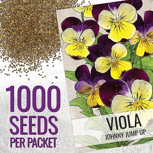 Miniatura 2 de Seed Needs Johnny Jump Up Semillas para plantar violas, reliquia y flores polinizadas abiertas para plantar un jardín de mariposas lleno de flores
