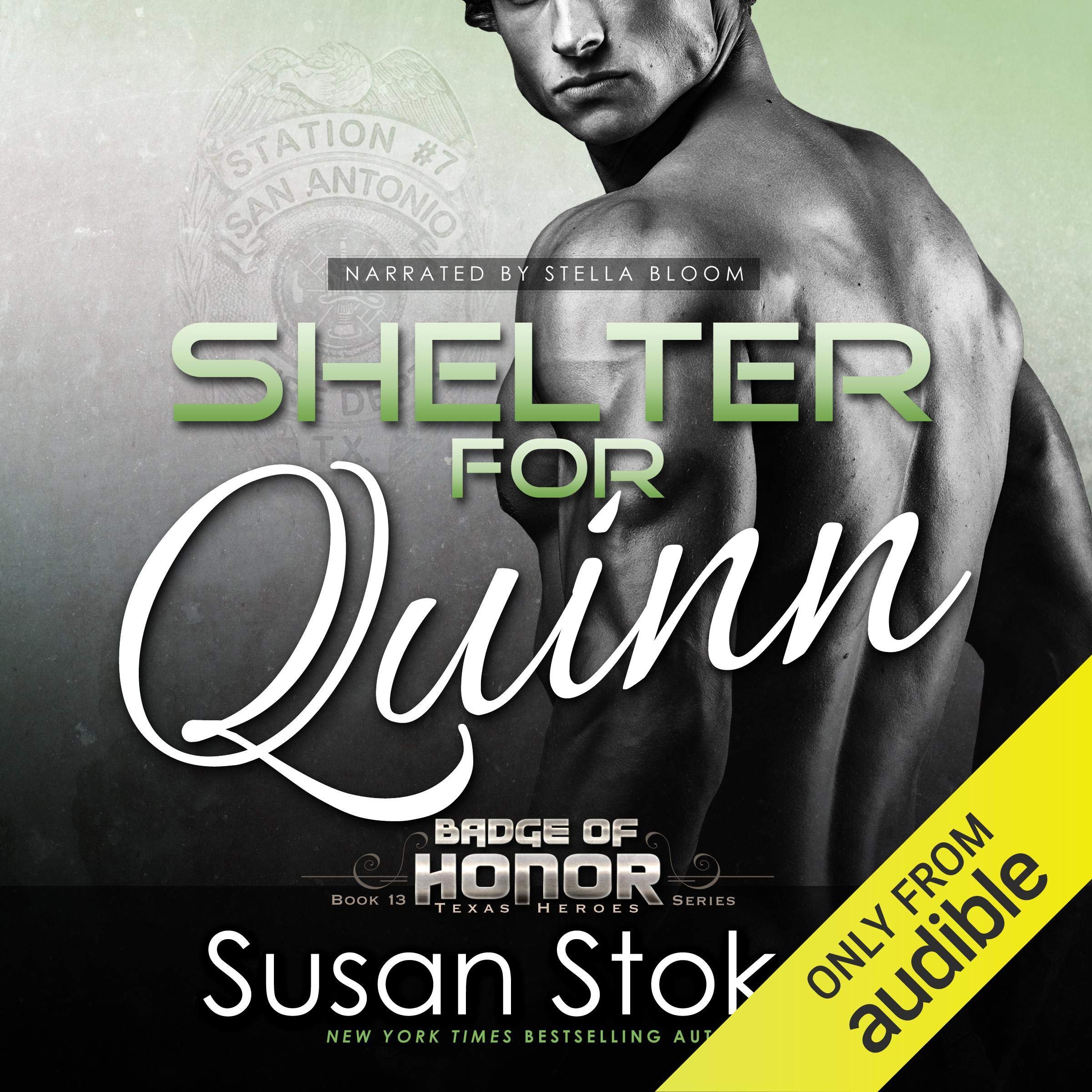 Cover art for Shelter for Quinn