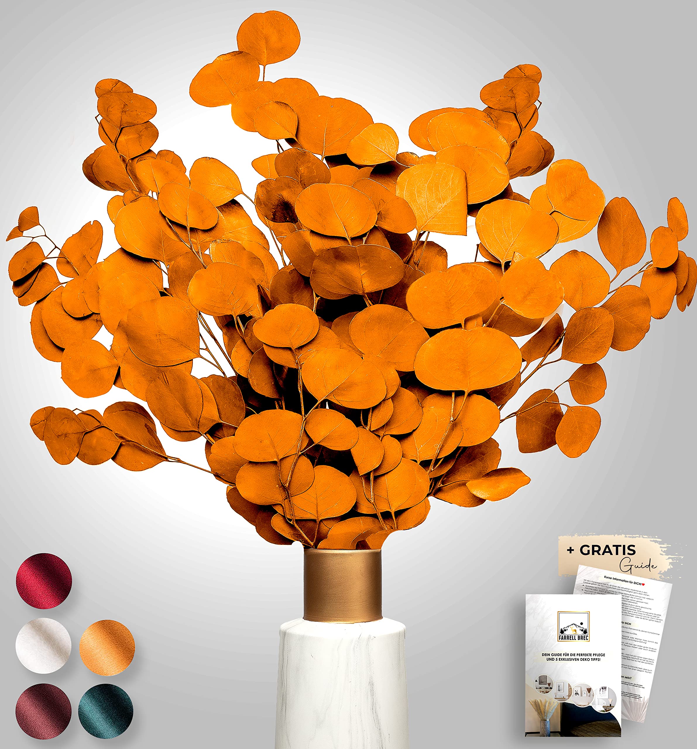 Angebot Black Week Birkental Eukalyptus - extra langlebige und 65-70 cm Lange Trockenblumen Deko - getrocknetes Eukalyptus