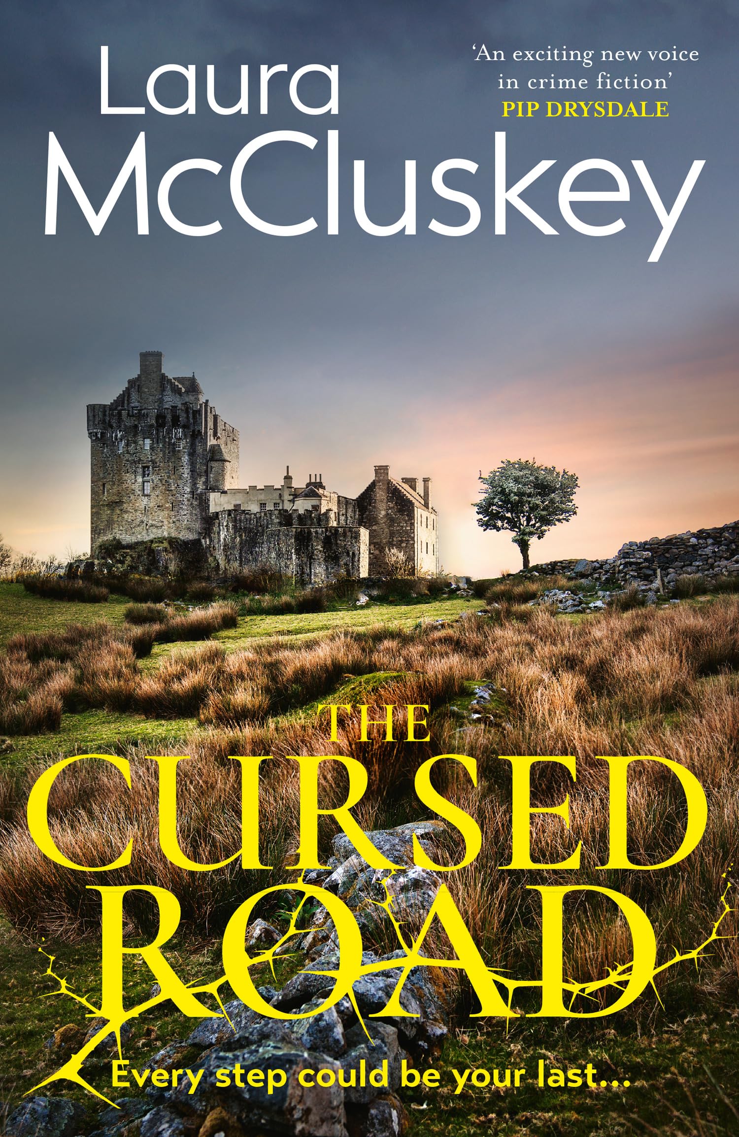 The Cursed Road: A gripping and atmospheric new detective crime thriller set in the Scottish Highlands