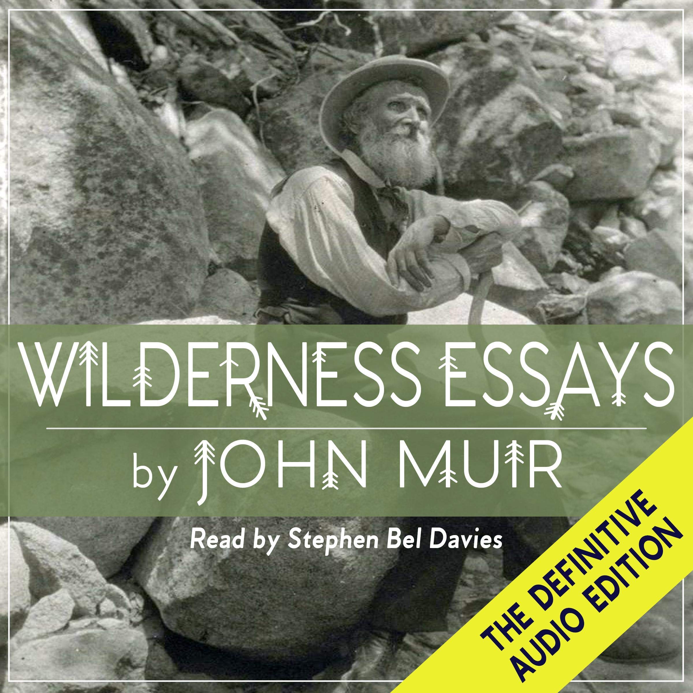 Cover art for Wilderness Essays