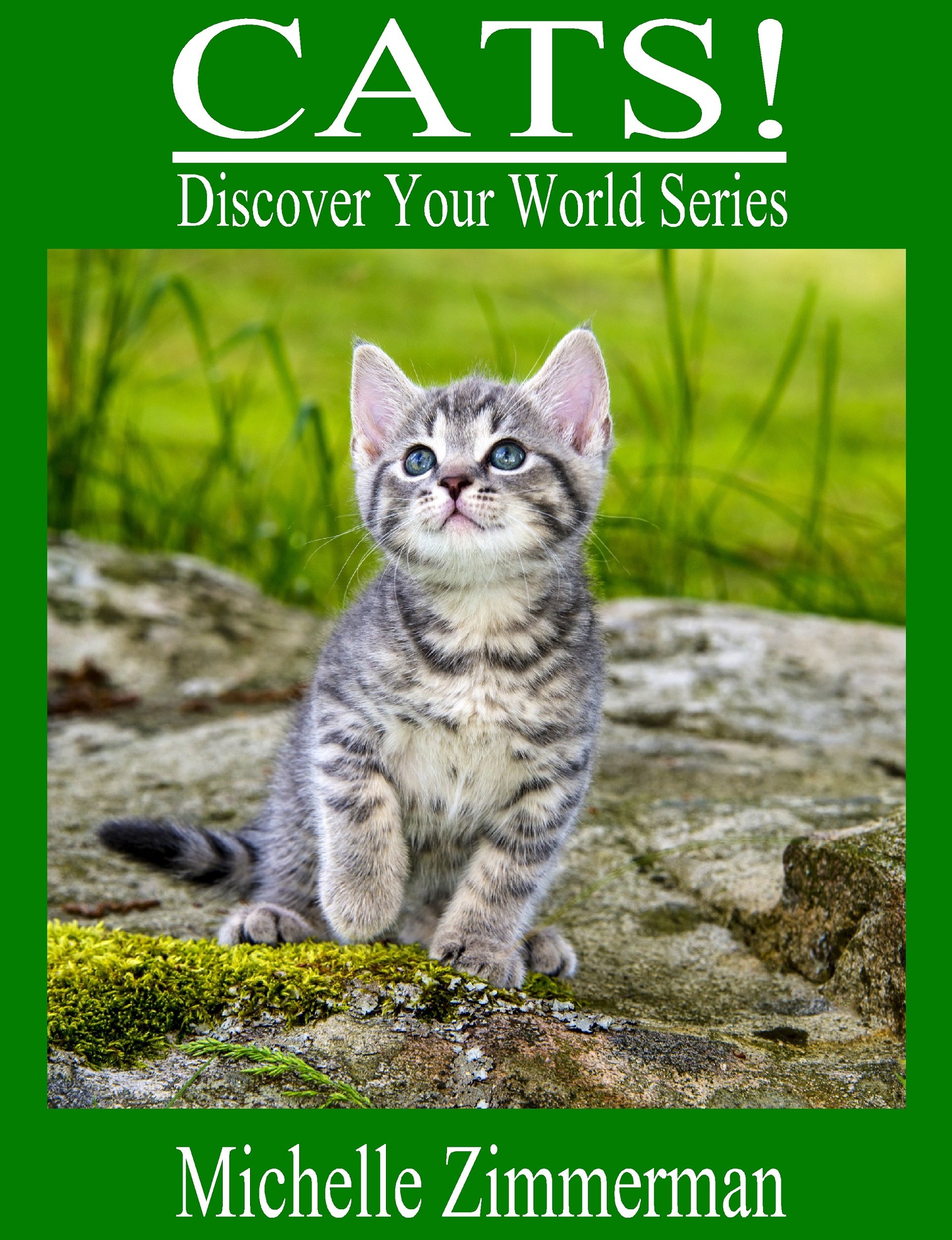 Cats! (Discover Your World Series)