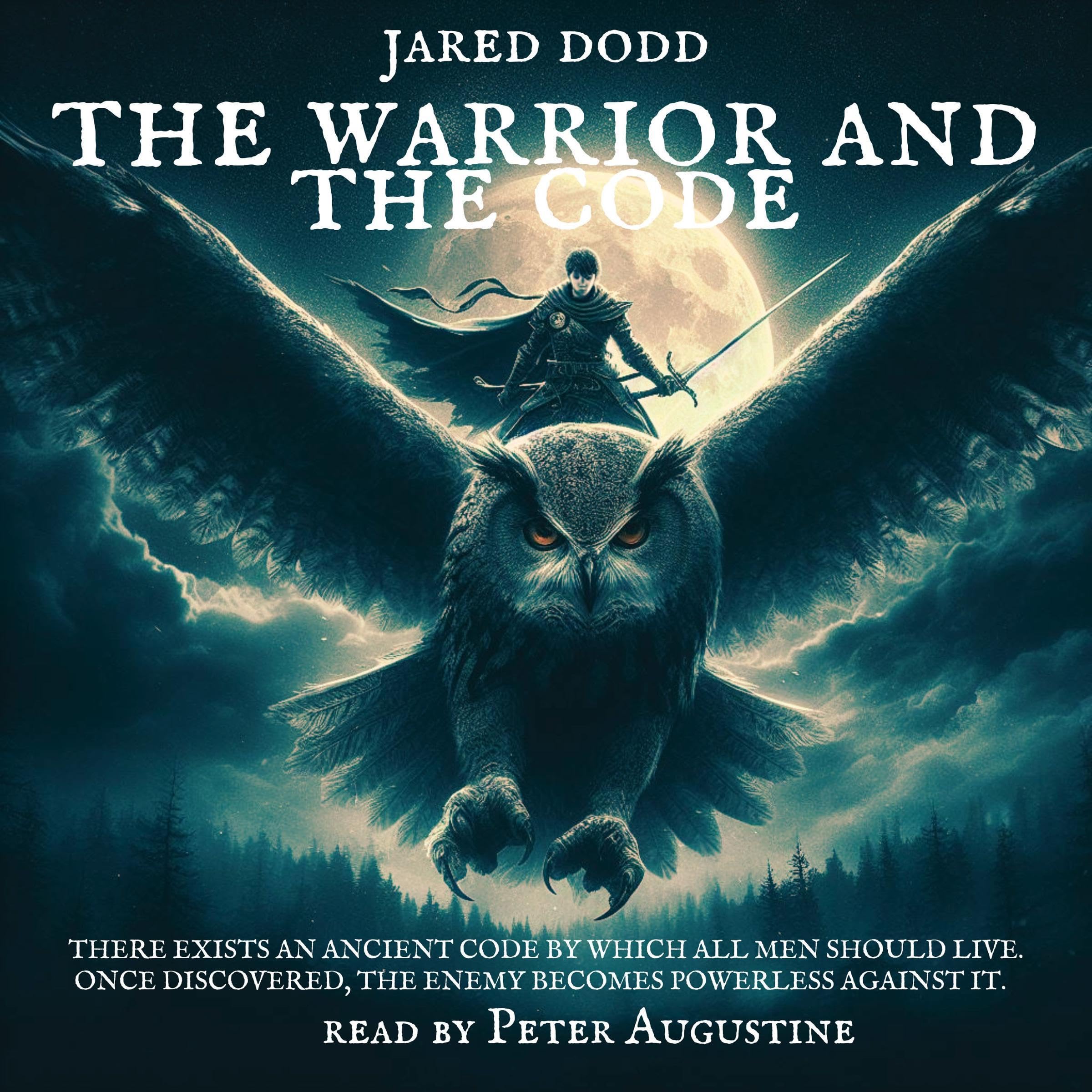 Cover art for The Warrior and the Code