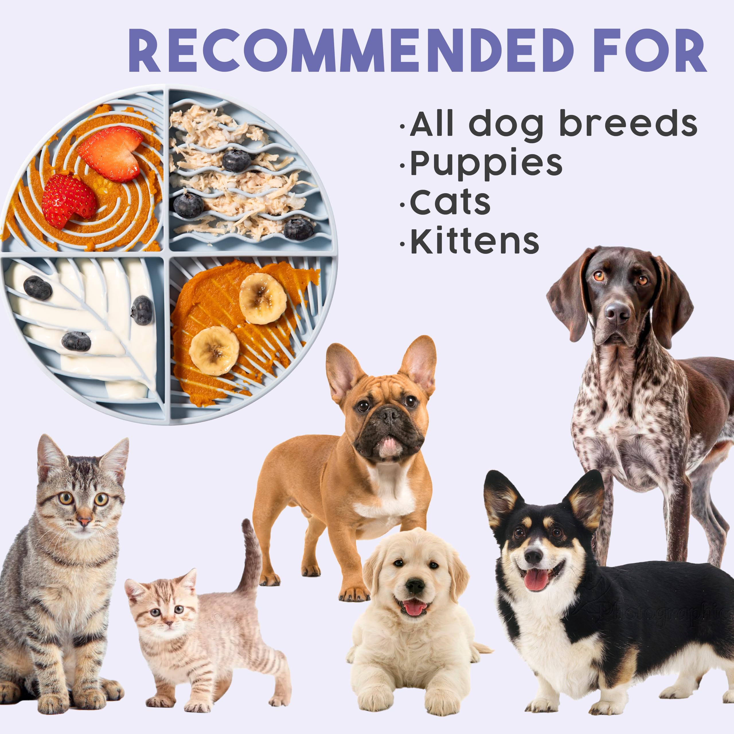 Awoo Paradise – Tapis à lécher en silicone pour chien et chat et mangeoire lente avec ventouses – Antidérapant, passe au lave-vaisselle – Prolonge l'heure des repas pour les mangeurs rapides et réduit