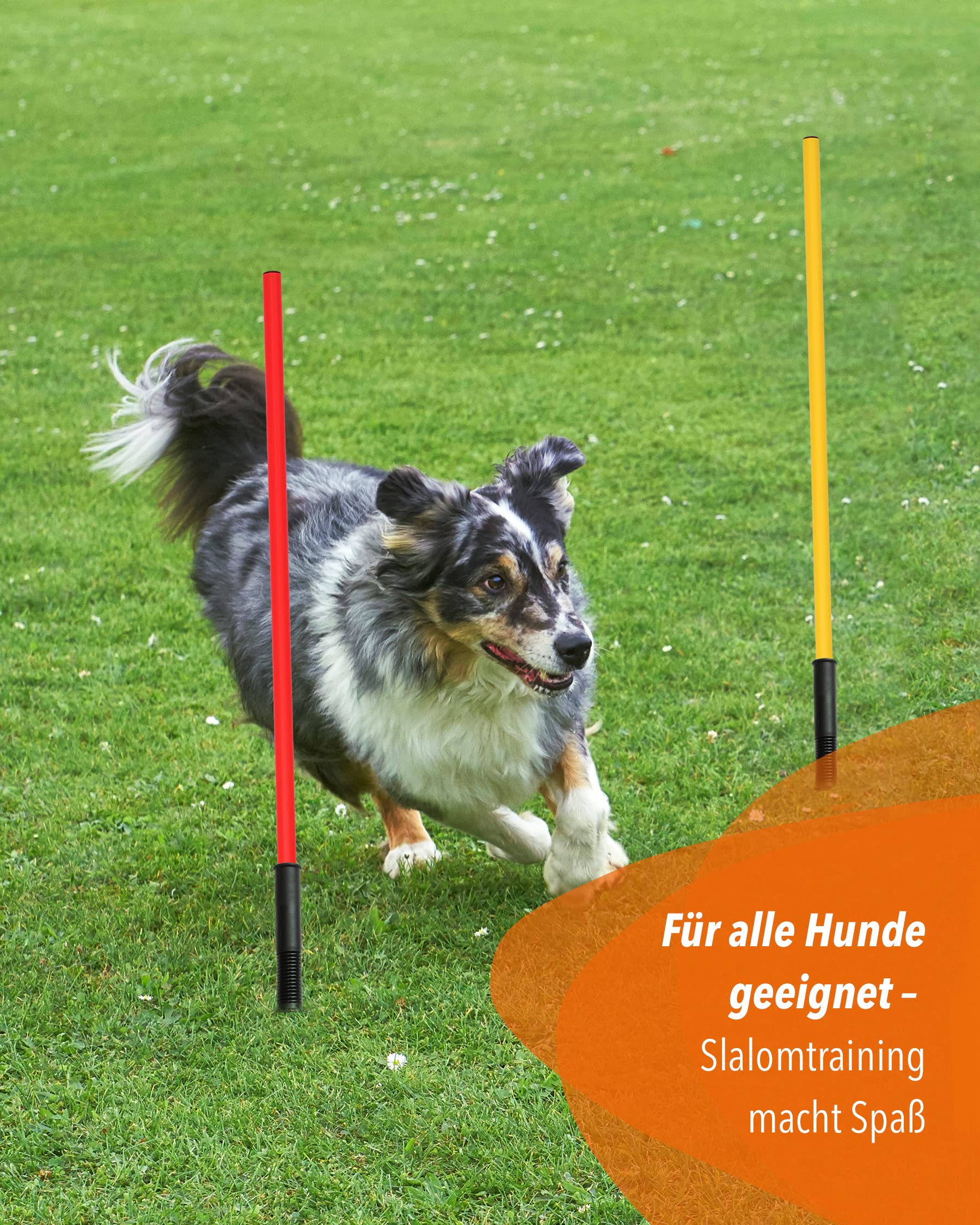 Kombi-Hülse aus Kunststoff mit Kippgelenk & Slalomstange 100 cm – 4er Set – für Slalom & Koordinationstraining – für Fußball, Leichtathletik & Hundesport – Agility-Stangen