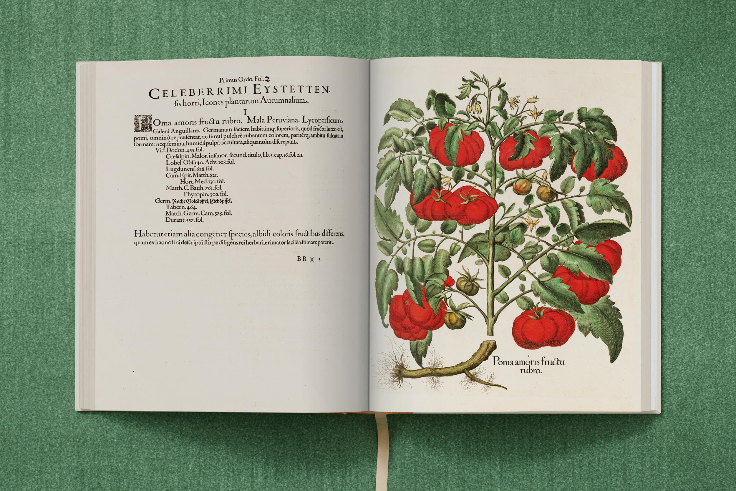 Basilius Besler: The Garden at Eichstätt: 1-3