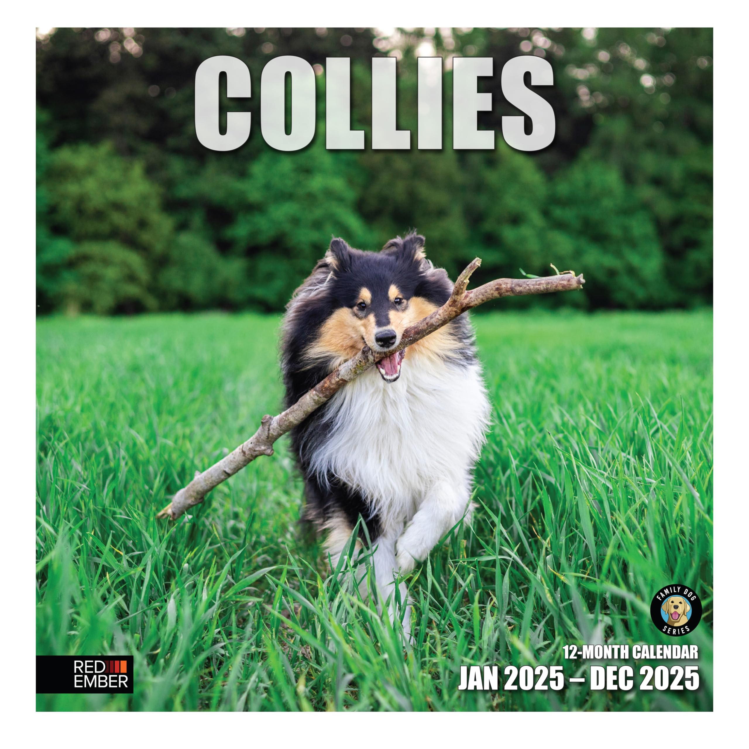RED EMBER Collies 2025 Wall Calendar 12 Month | 12" x 24" Open | Thick &amp; Sturdy Paper | Giftable | Dog Calendar 2025