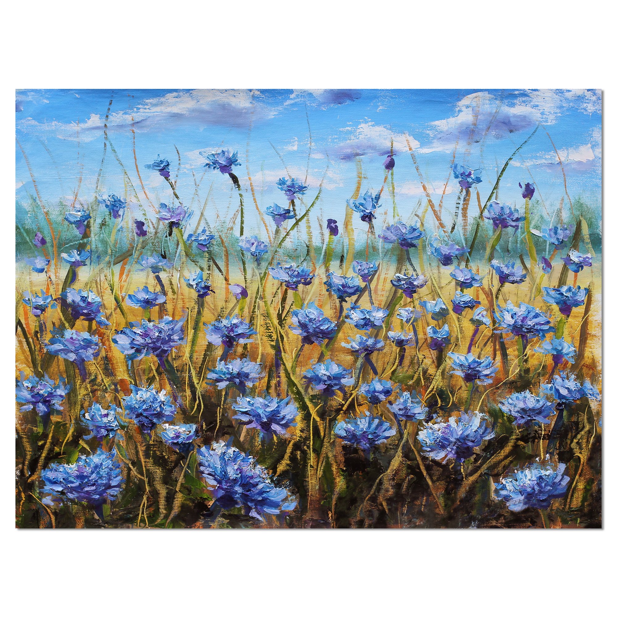 花卉20 Mod Mademoiselle | Blooms Today