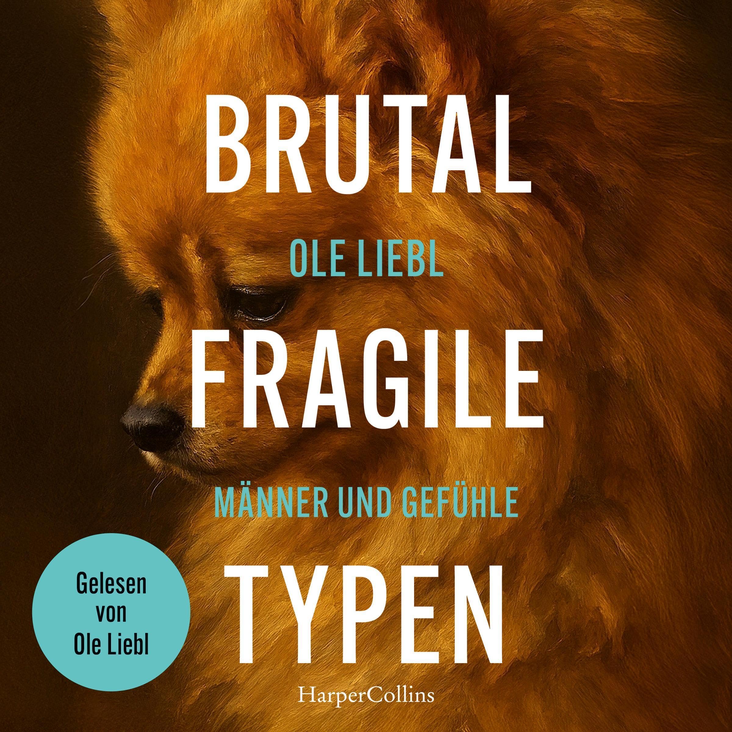 Cover art for Brutal fragile Typen
