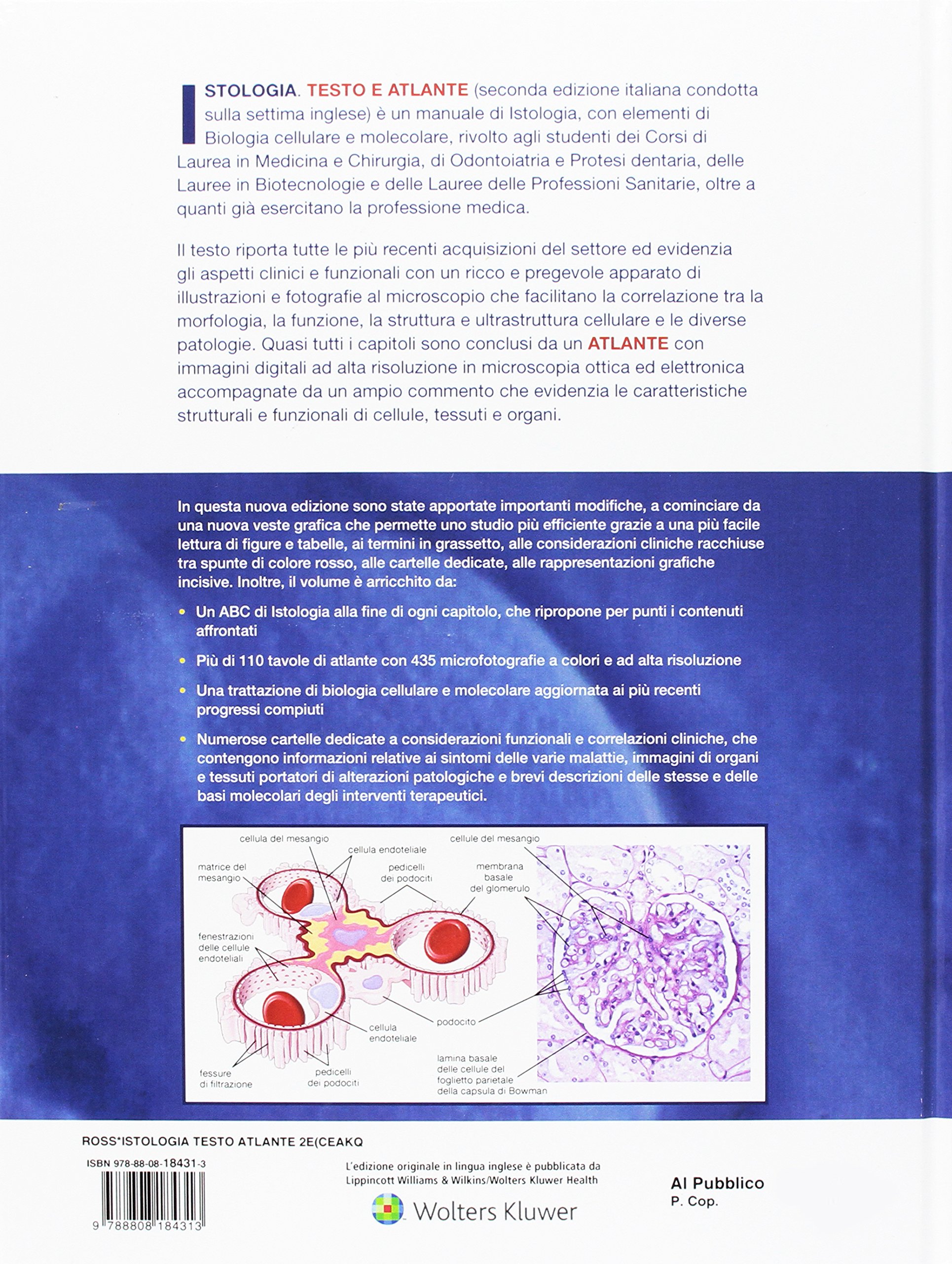 Istologia. Testo e atlante. Con elementi di biologia cellulare e molecolare. Con Contenuto digitale (fornito elettronicamente)