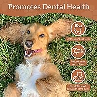 Vista 8 de Wildfang® Coffee Wood Masticable para Perros, Mediano - Juguetes Masticables Resistentes para Masticadores Agresivos, Juguetes de Dentición