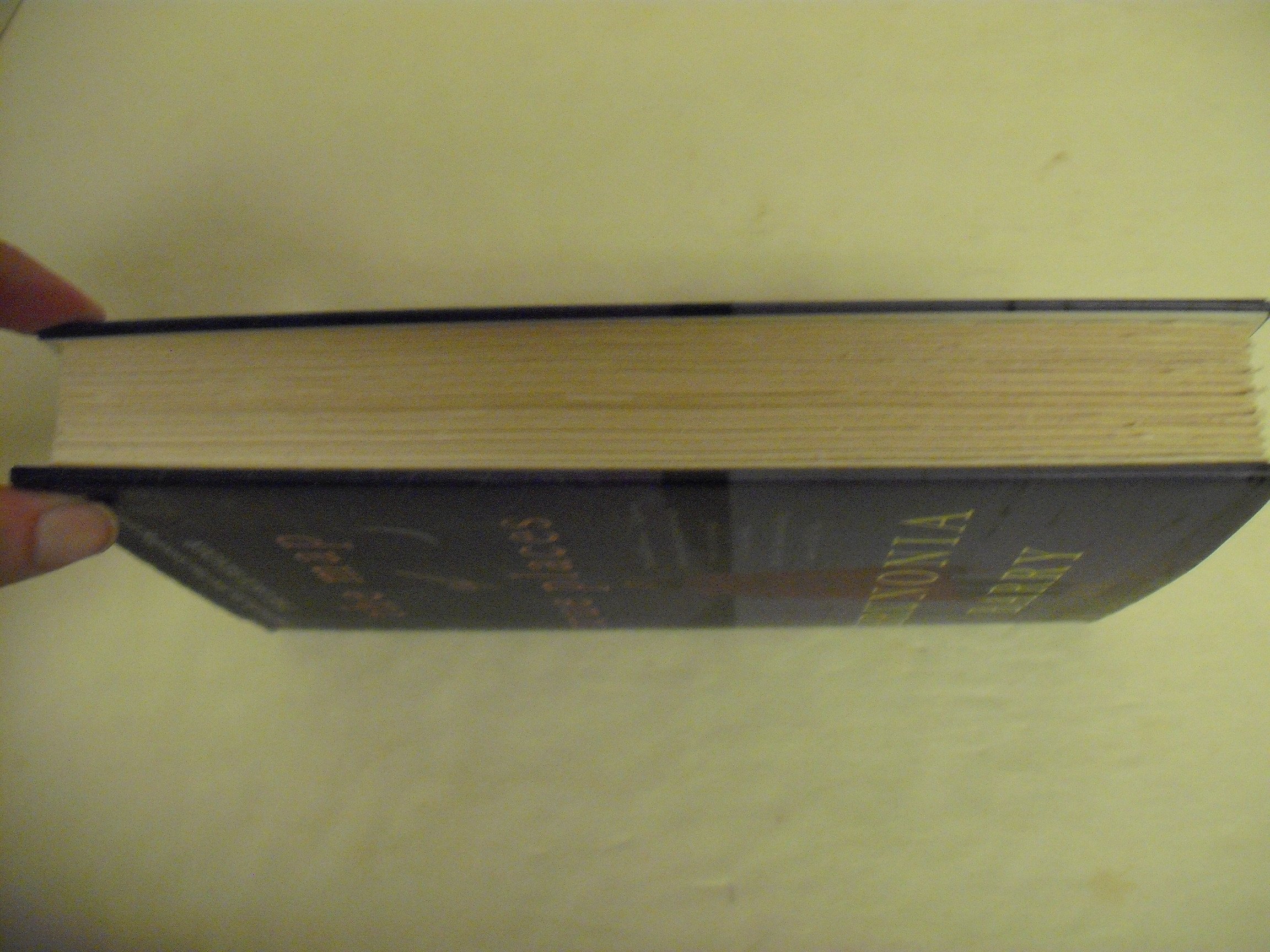 The Map of True Places - Image 7