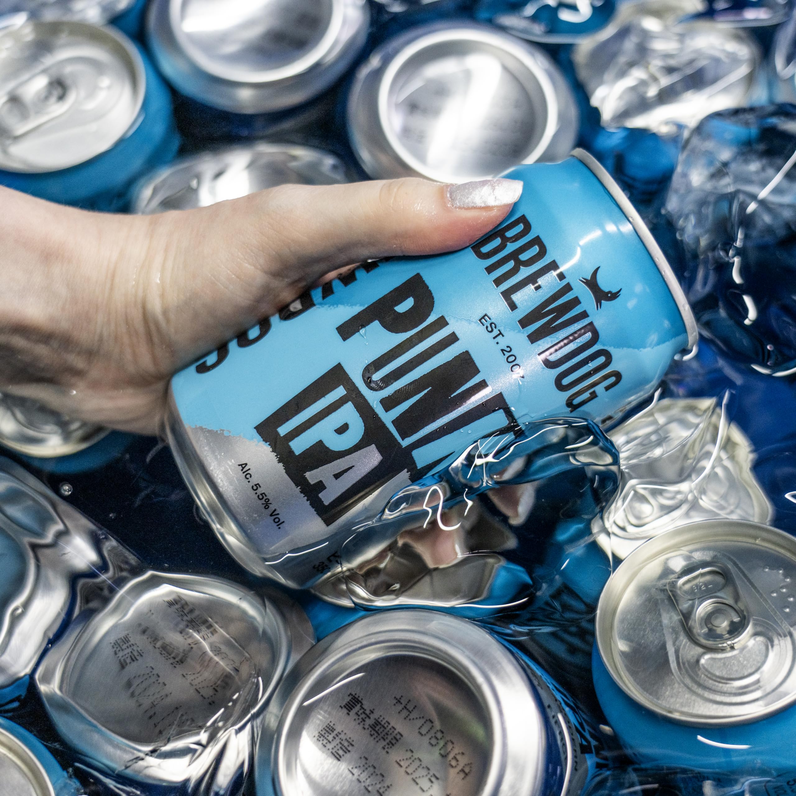 Amazon.co.jp: ブリュードッグ パンクIPA 缶 350ml×24本 : 食品・飲料