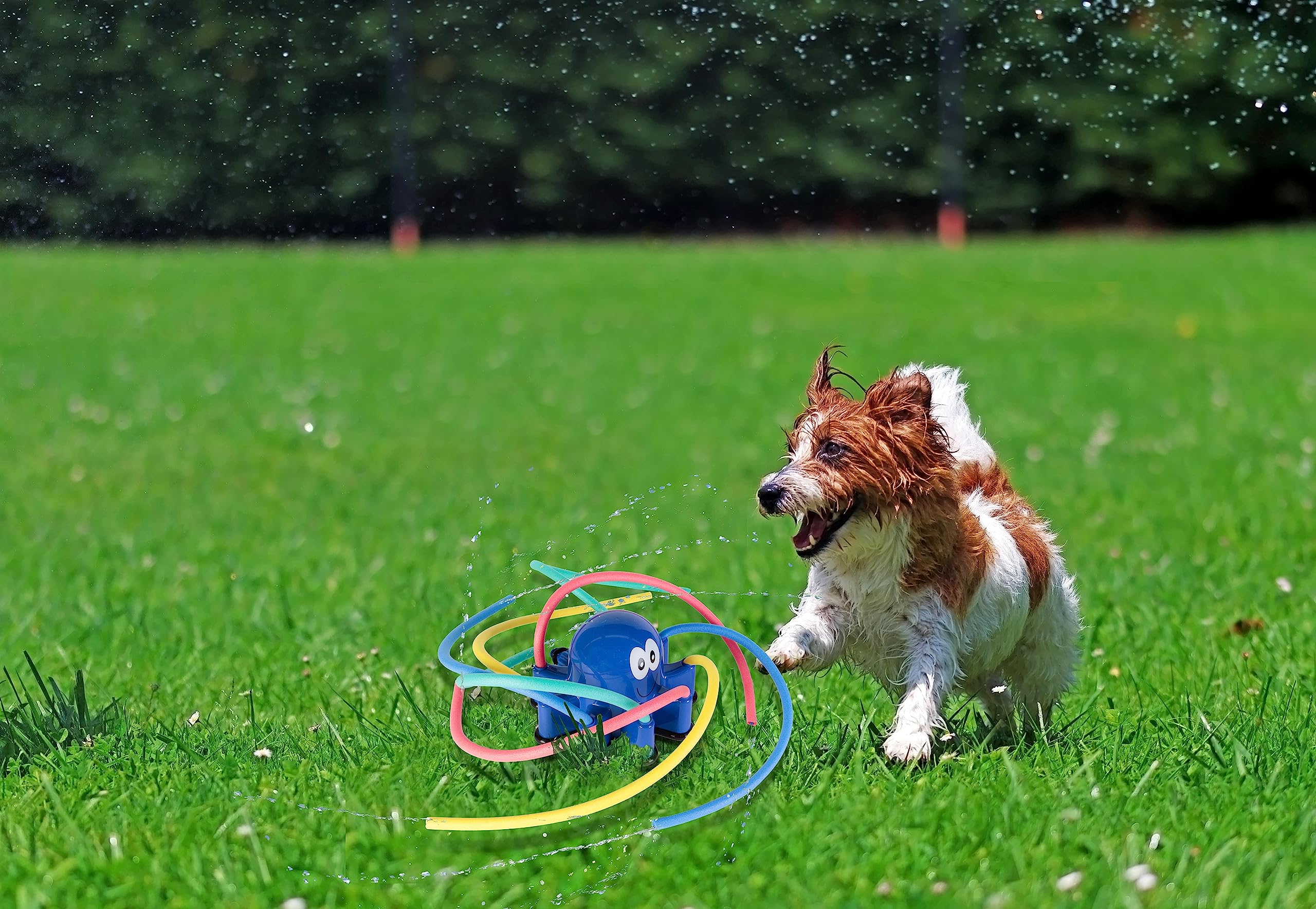 Jouet poulpe rafraîchissant avec diffusion d'eau autonome pour hydratation canine