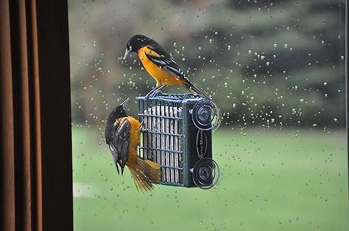 Miniatura 5 de Kettle Moraine Window Mount Single Suet Cake Woodpecker Bird Feeder