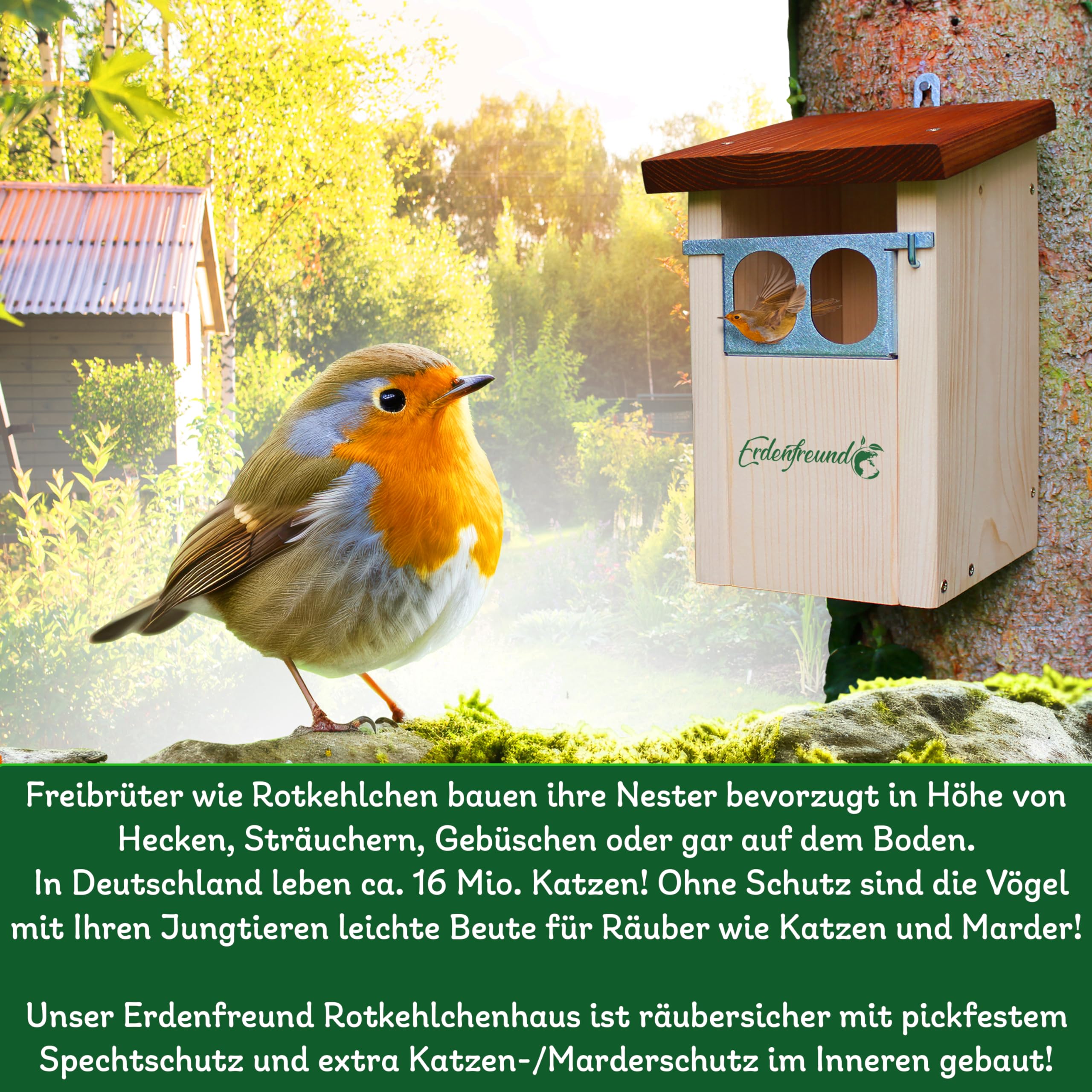 ERDENFREUND® Nistkasten Rotkehlchen mit Marder-/Katzenschutz räubersicher Nistkasten für Vögel Rotschwänzchen Lichtschacht Nischeneinflug Spechtschutz (Nistkasten Nischenbrüter räubersicher)