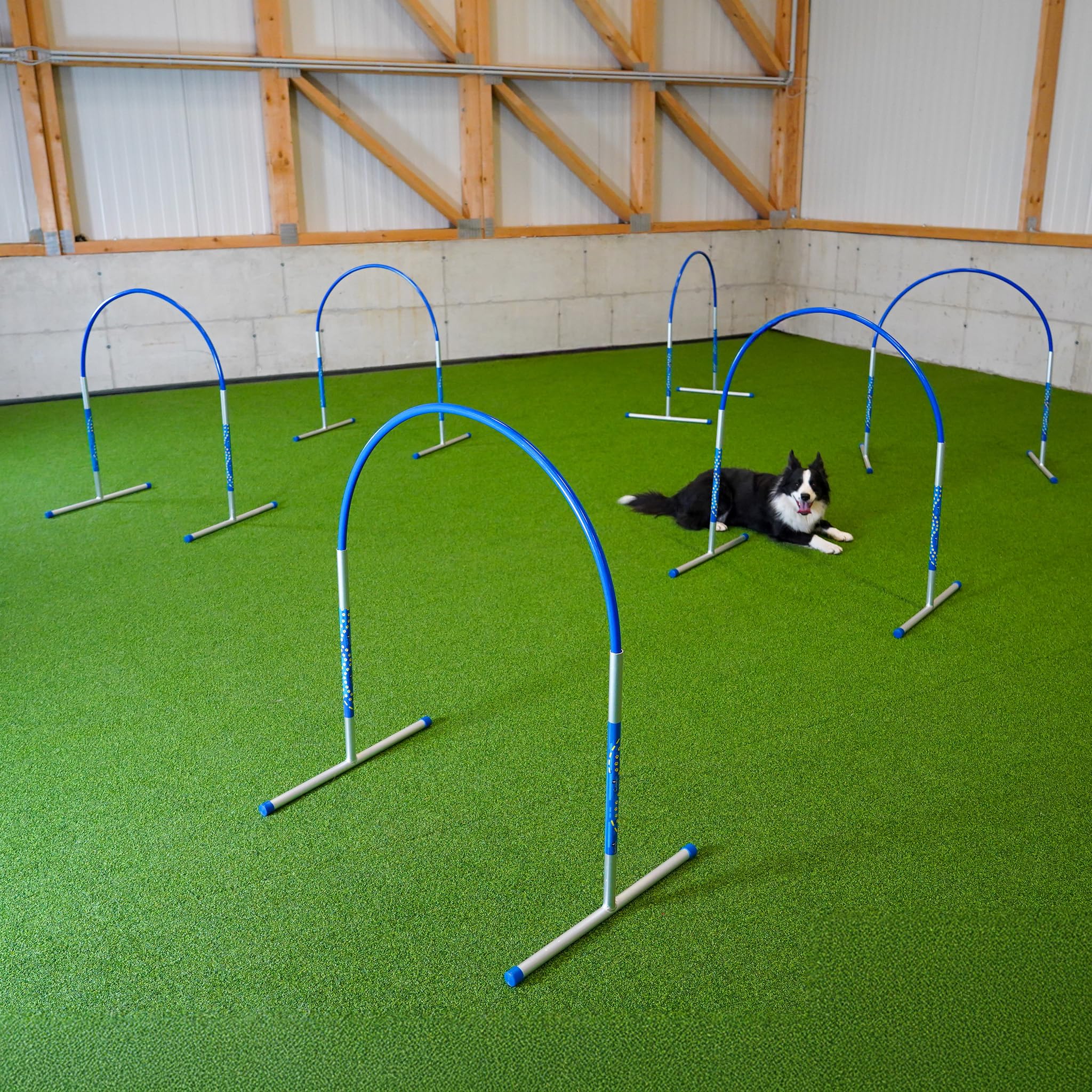 Callieway Hoopers Agility Hoops Lot de 6 cerceaux en aluminium Bleu (sans barre centrale)