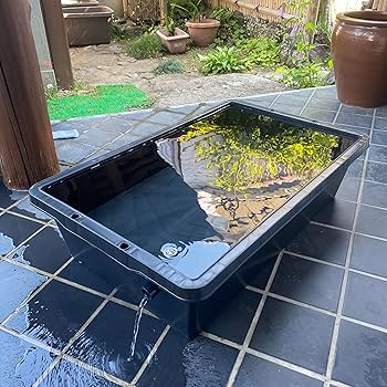 Amazon | 五色アクア メダカ飼育ケース 60リットル 黒