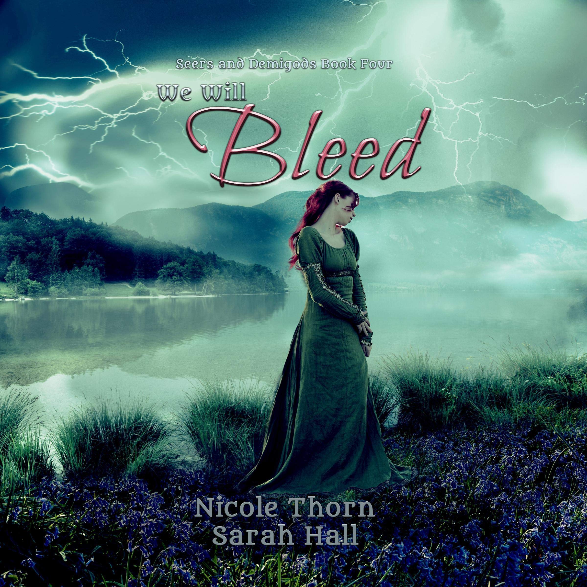 Cover art for We Will Bleed