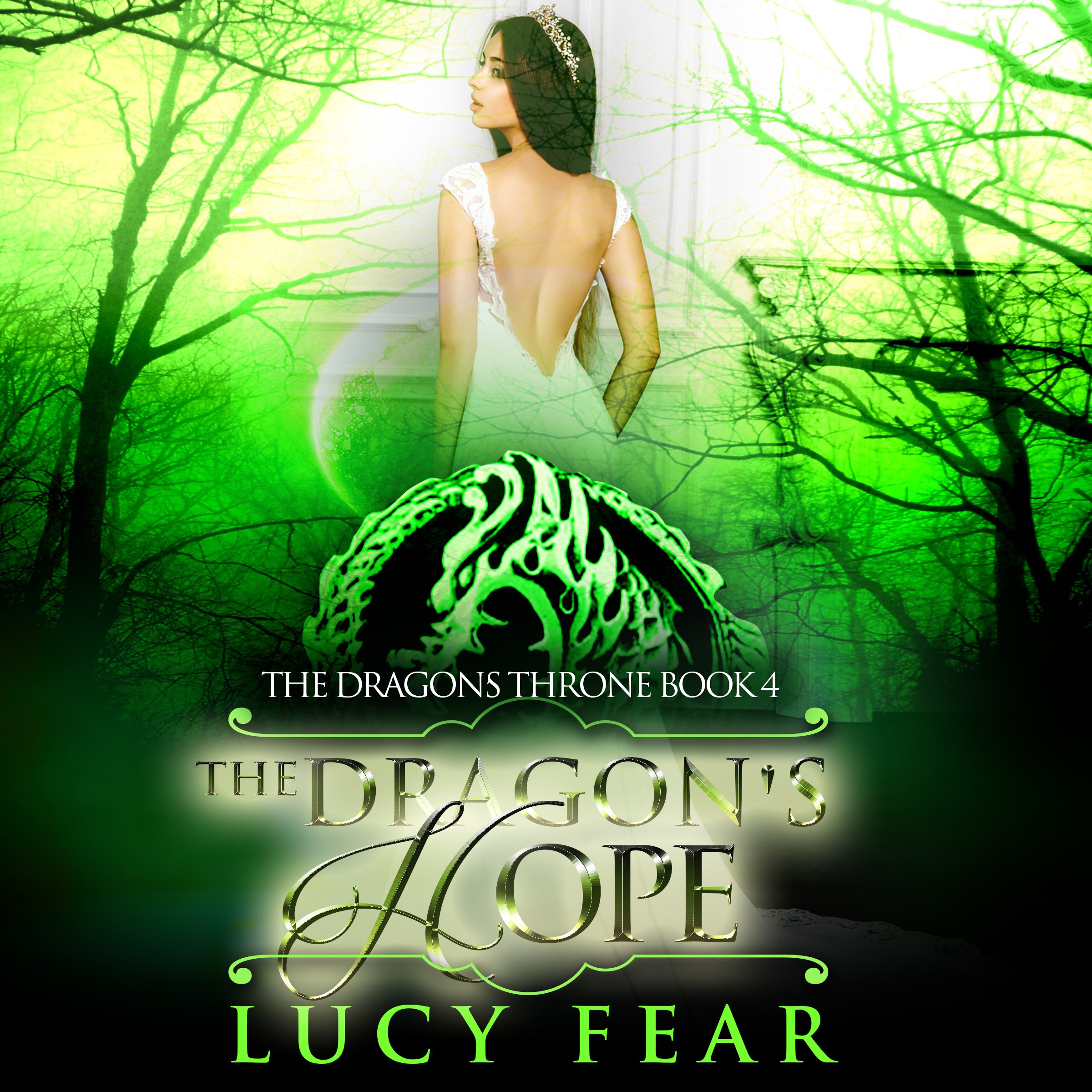 Cover art for The Dragon's Hope