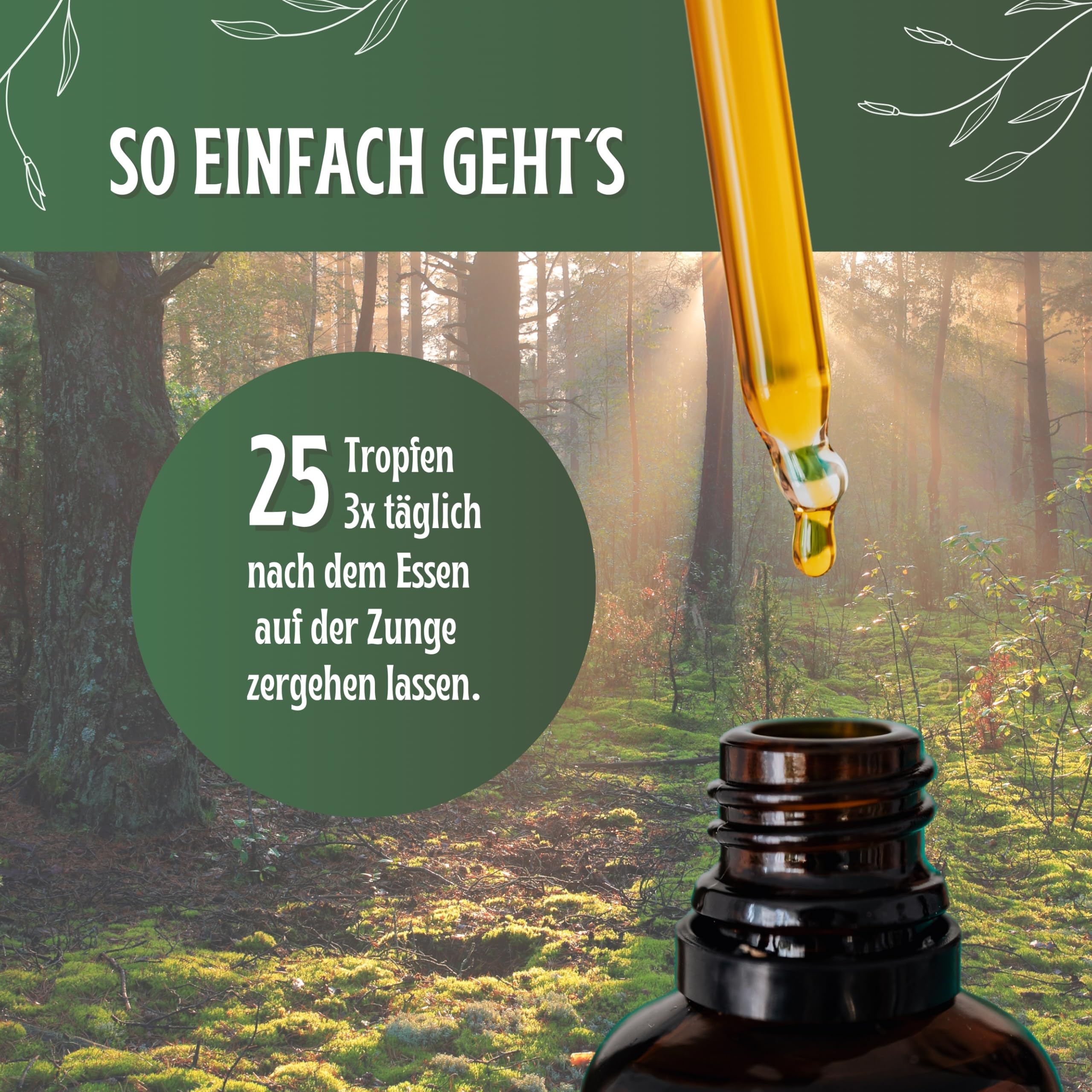 HelloBitter® - Bittertropfen Set 3x 50ml nach Hildegard von Bingen - Bitterkräuter/Bitterstoffe Tropfen vegan - hohe Bioverfügbarkeit, Laborgeprüft, hochdosiert, flüssig