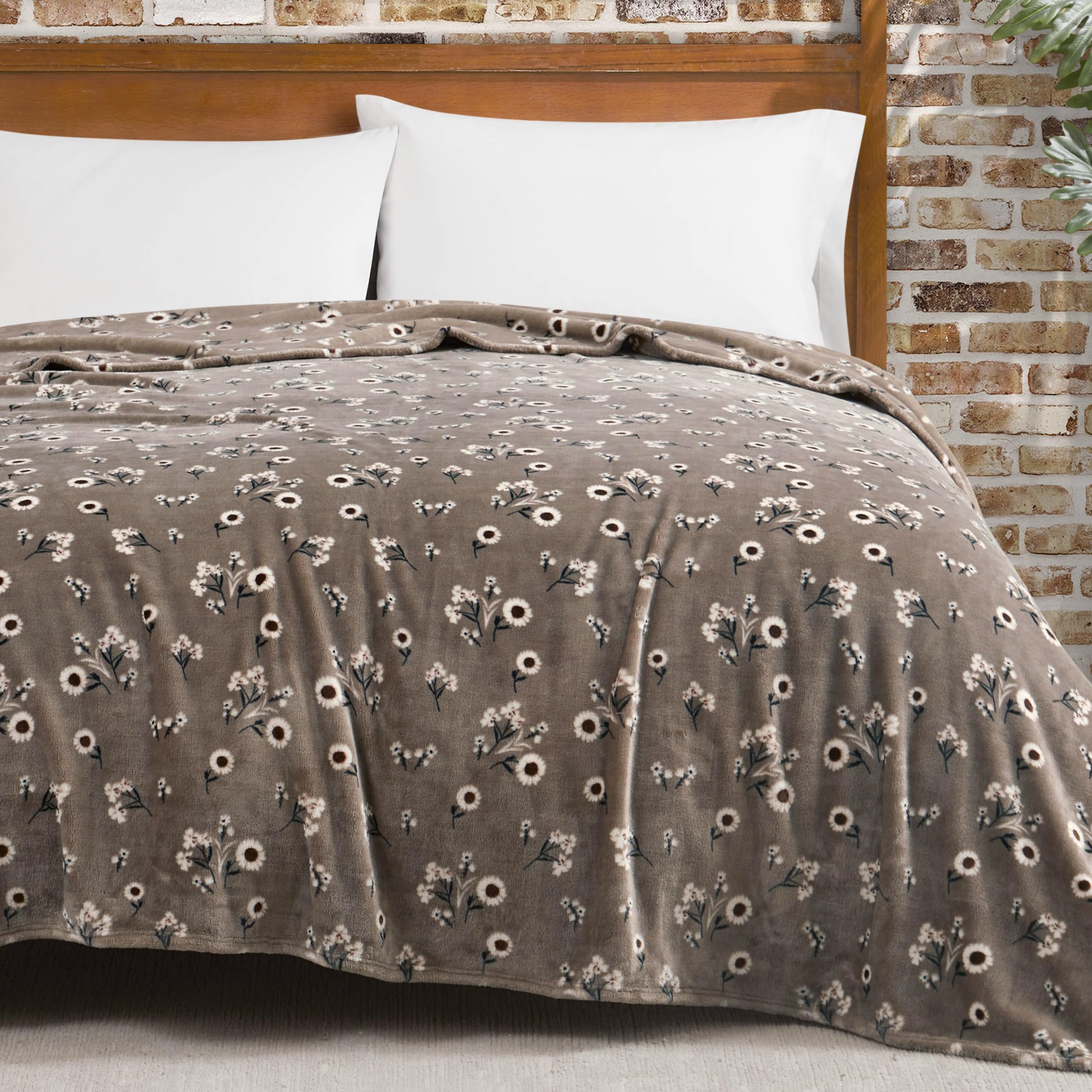 Amazon.com: Lucky Brand Daisy Beige Floral 90