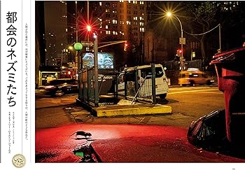 ナショナル ジオグラフィック日本版 2019年4月号 | ナショナル ジオ ナショナル ジオグラフィック日本版 2019年4月号 | ナショナル ジオ