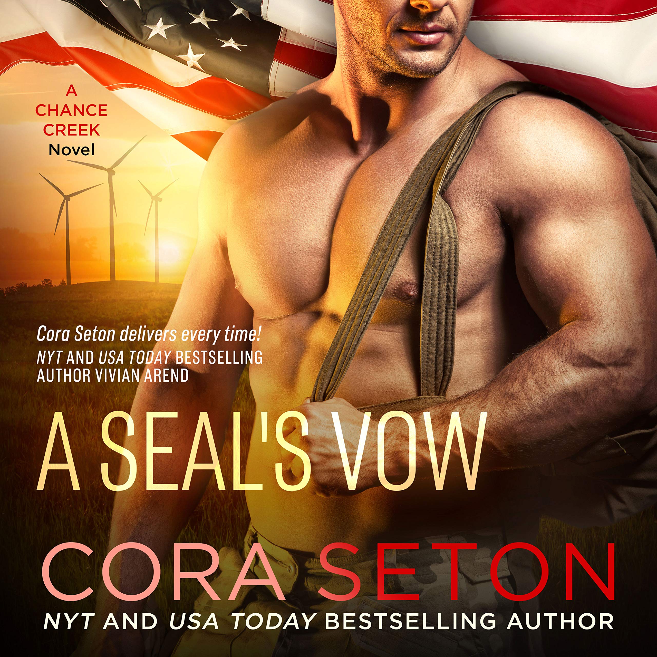 Cover art for A SEAL's Vow
