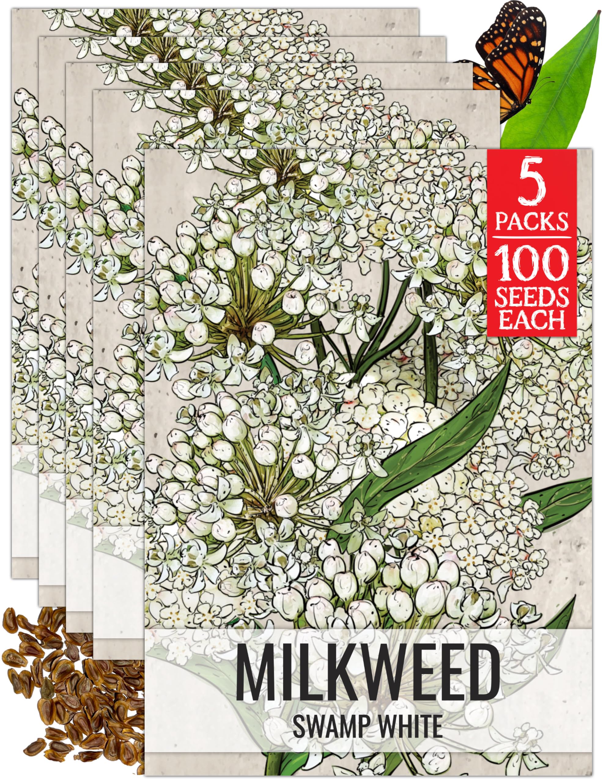 Seed Needs White Swamp Milkweed Seeds for Monarch Butterflies 5 Packs