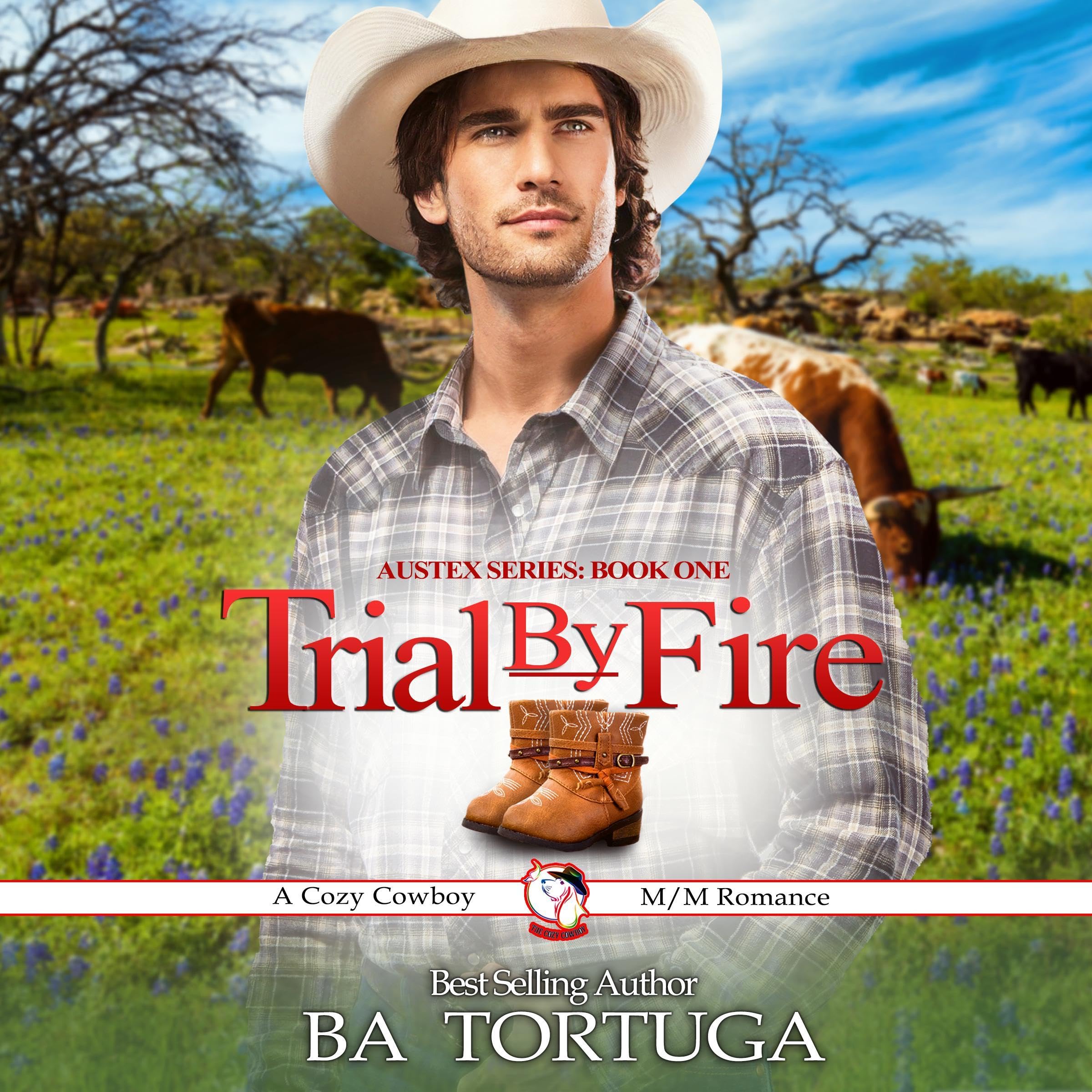 Cover art for Trial by Fire