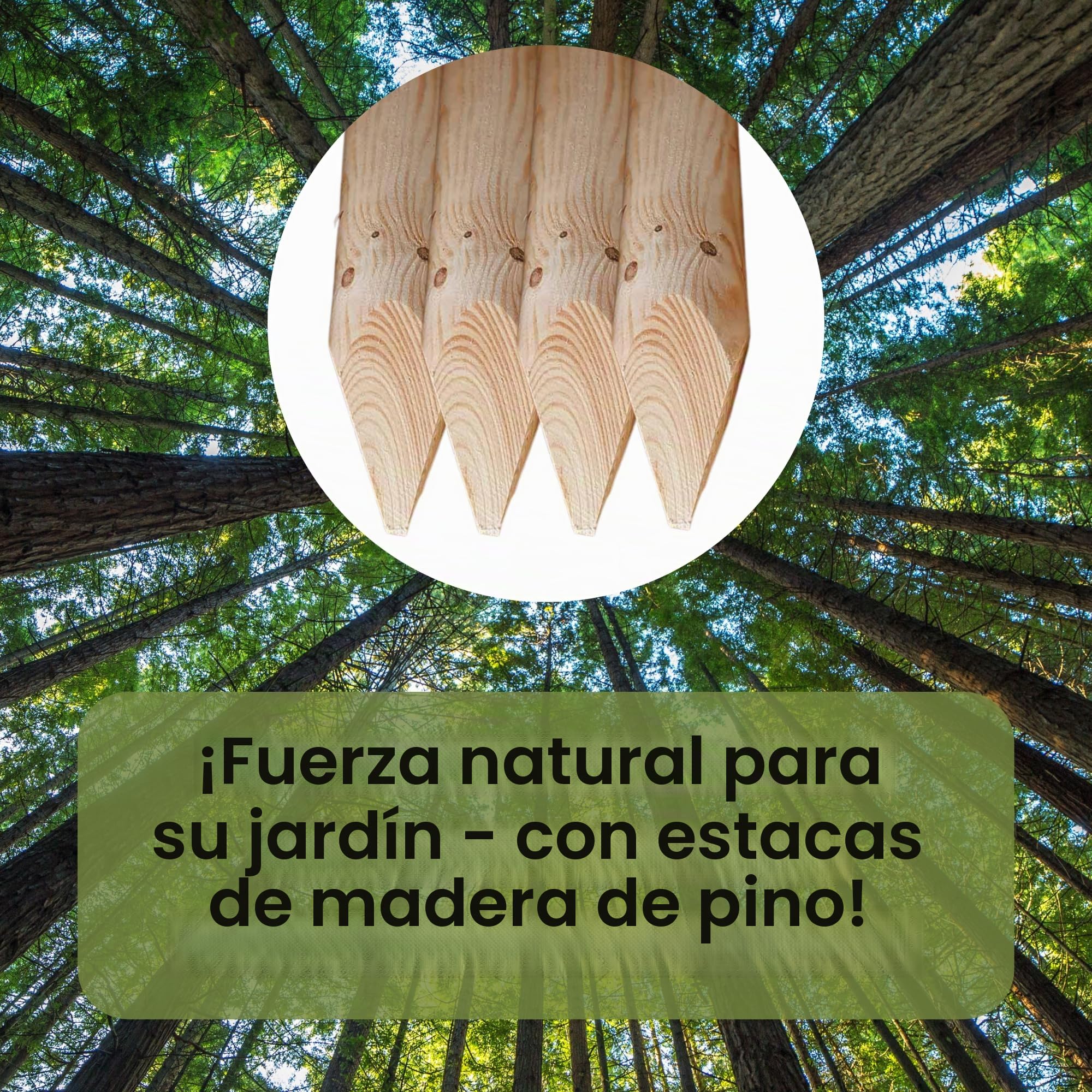 ø 6cm Pack De 4 Estacas De Madera con Punta Largo 200 cm Tutores para Plantas Sin Impregnar Poste Jardín Madera Natural para Árboles Poste para Valla Piquetas
