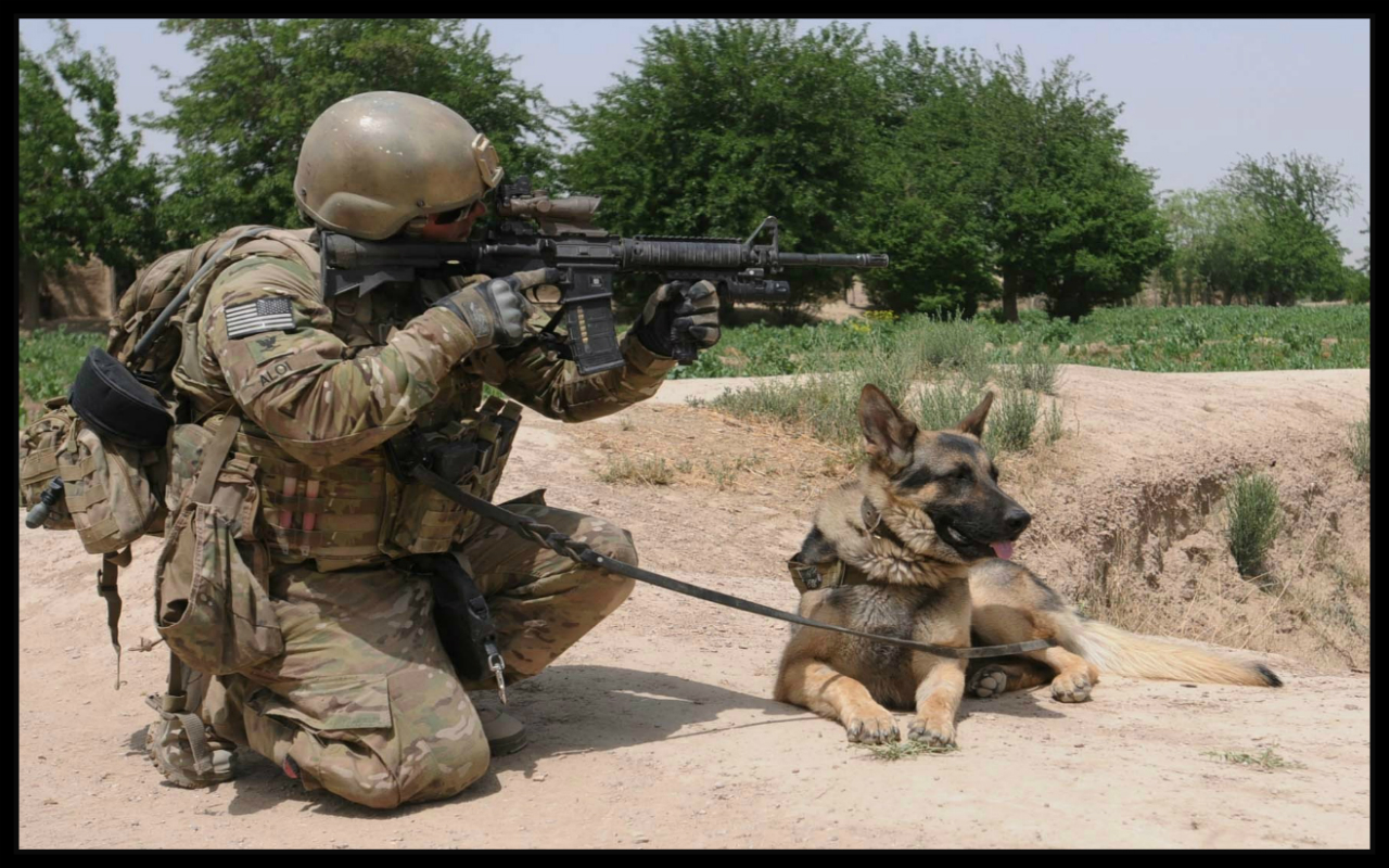 Army Dog - App on Amazon Appstore