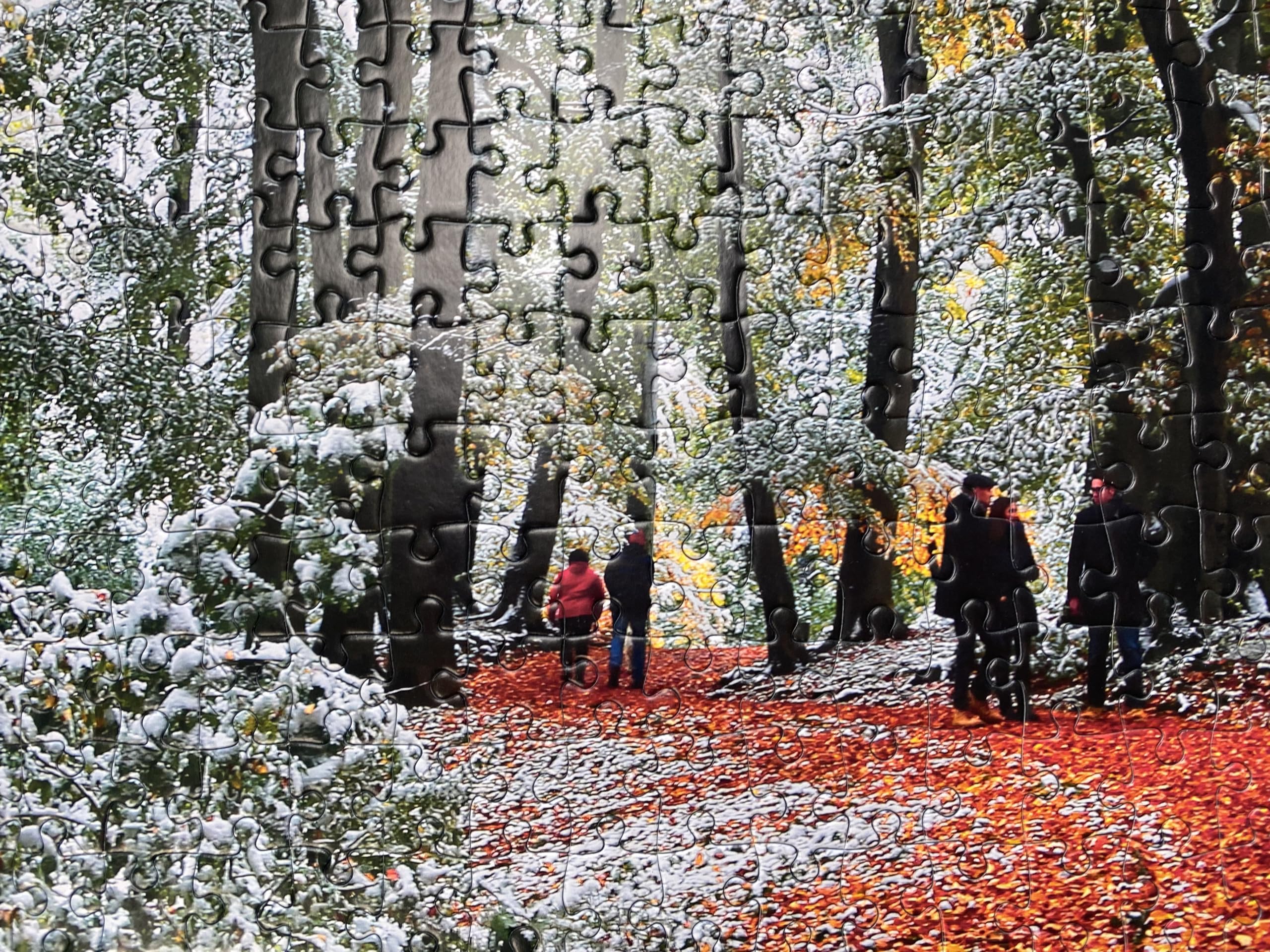 Snow in Autumn - Image 4