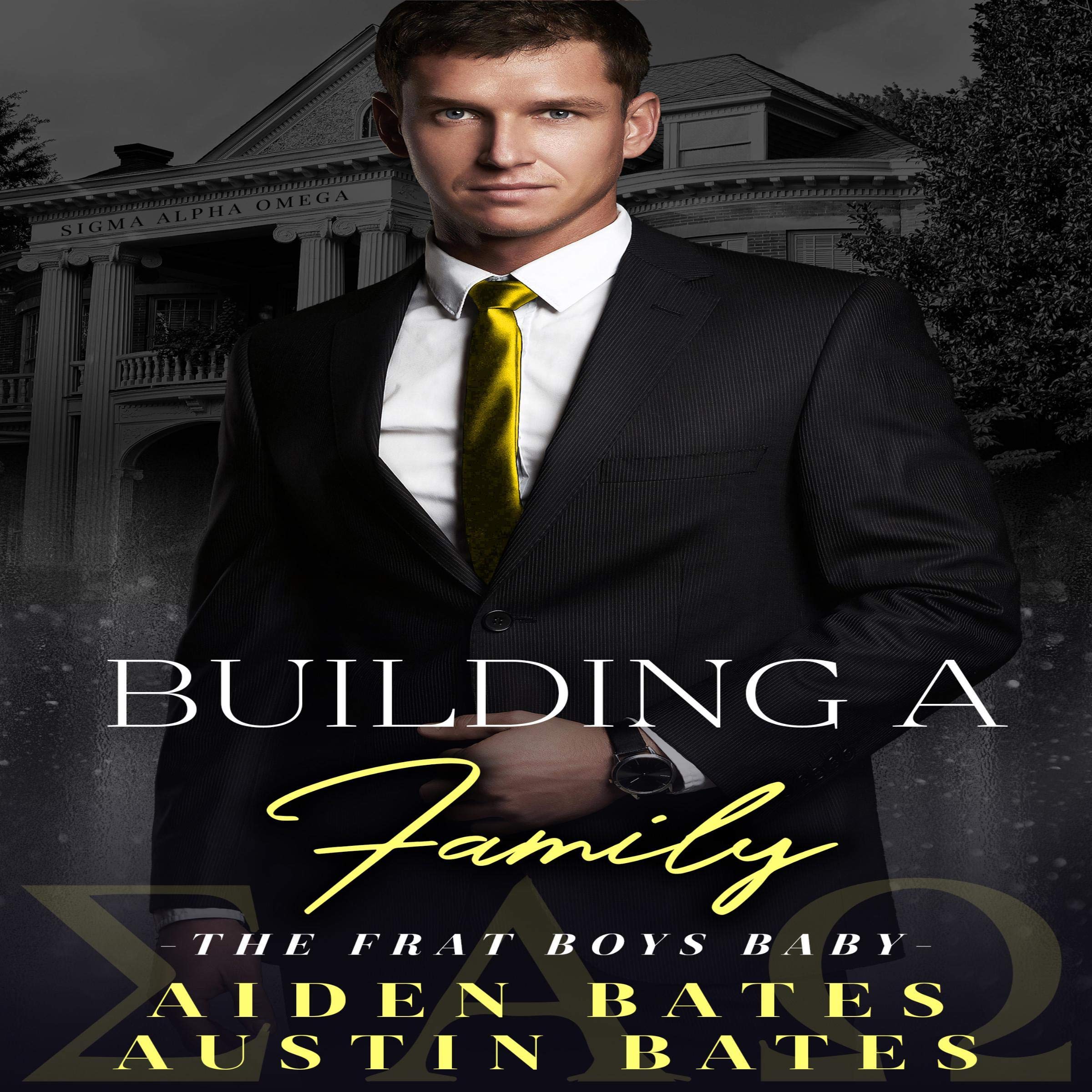 Cover art for Building a Family: An Mpreg Romance