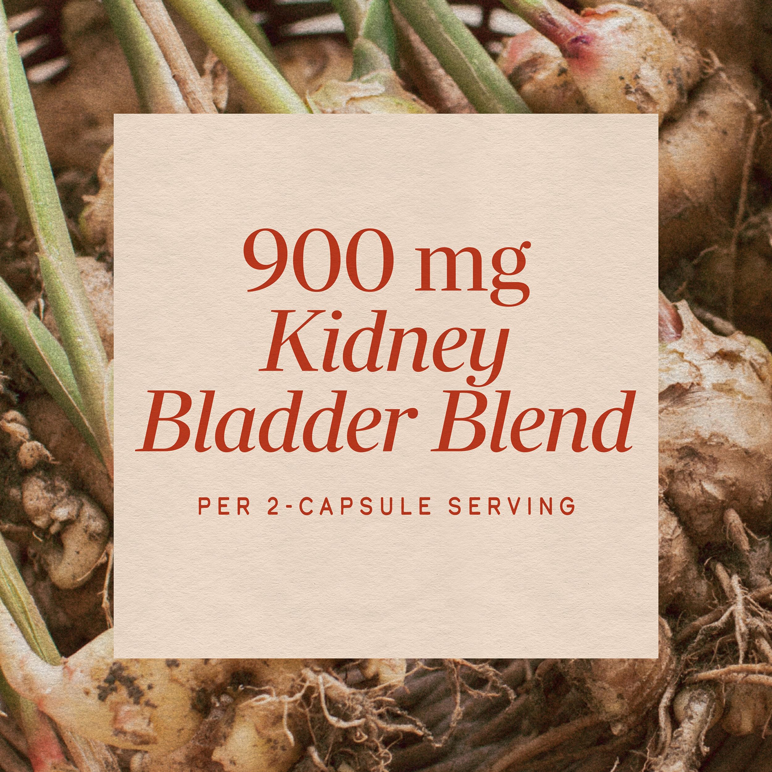 Nature's Way Kidney Bladder Premium Blend, 900 mg per Serving, 100 ct — Amazon image 4