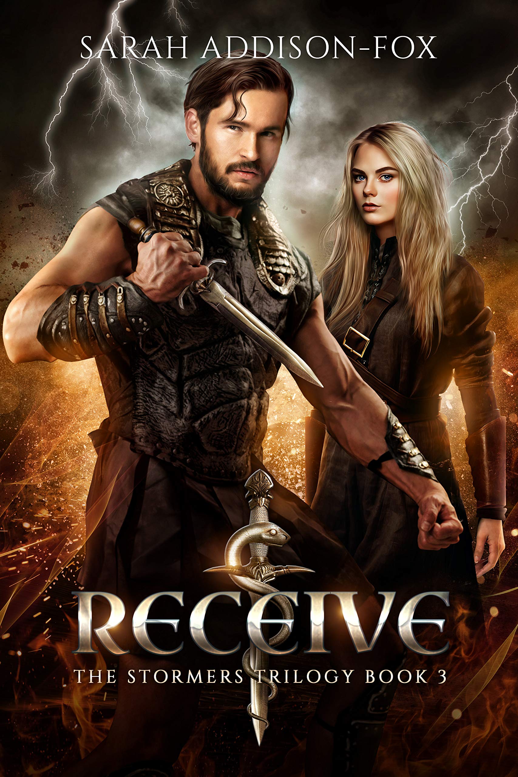 Receive (The Stormers Series Book 3)