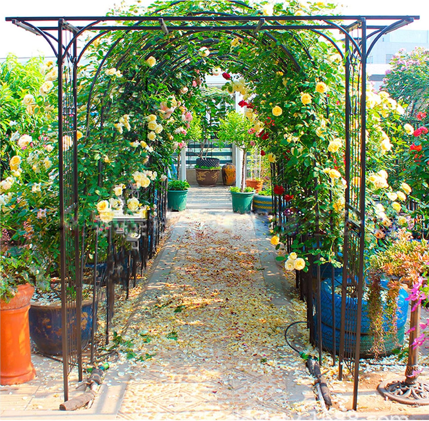 Metal Garden Arches,Rose Arch for Climbing Plants,Arbors Arch Wedding Arch,Climbing Aid Rose Frame Climbing Frame,Trellis,Archway Pergola,Outdoor Garden Lawn,204X39.5X205.5 Cm,Black