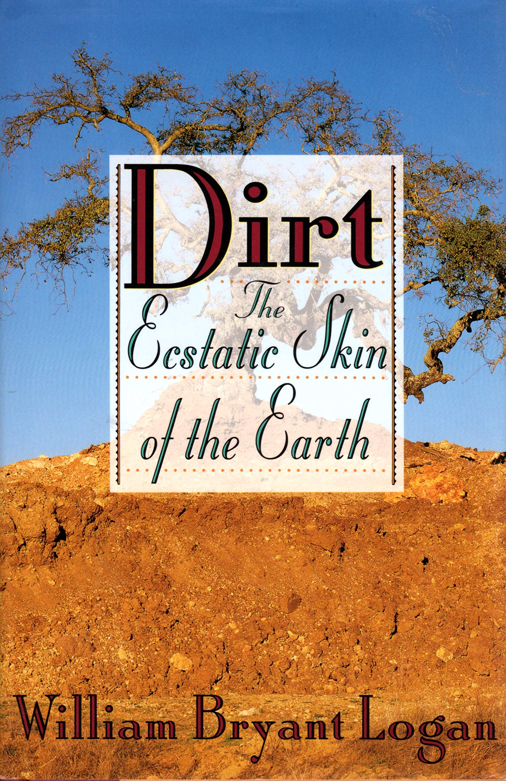 Buy Dirt — BookShops.in