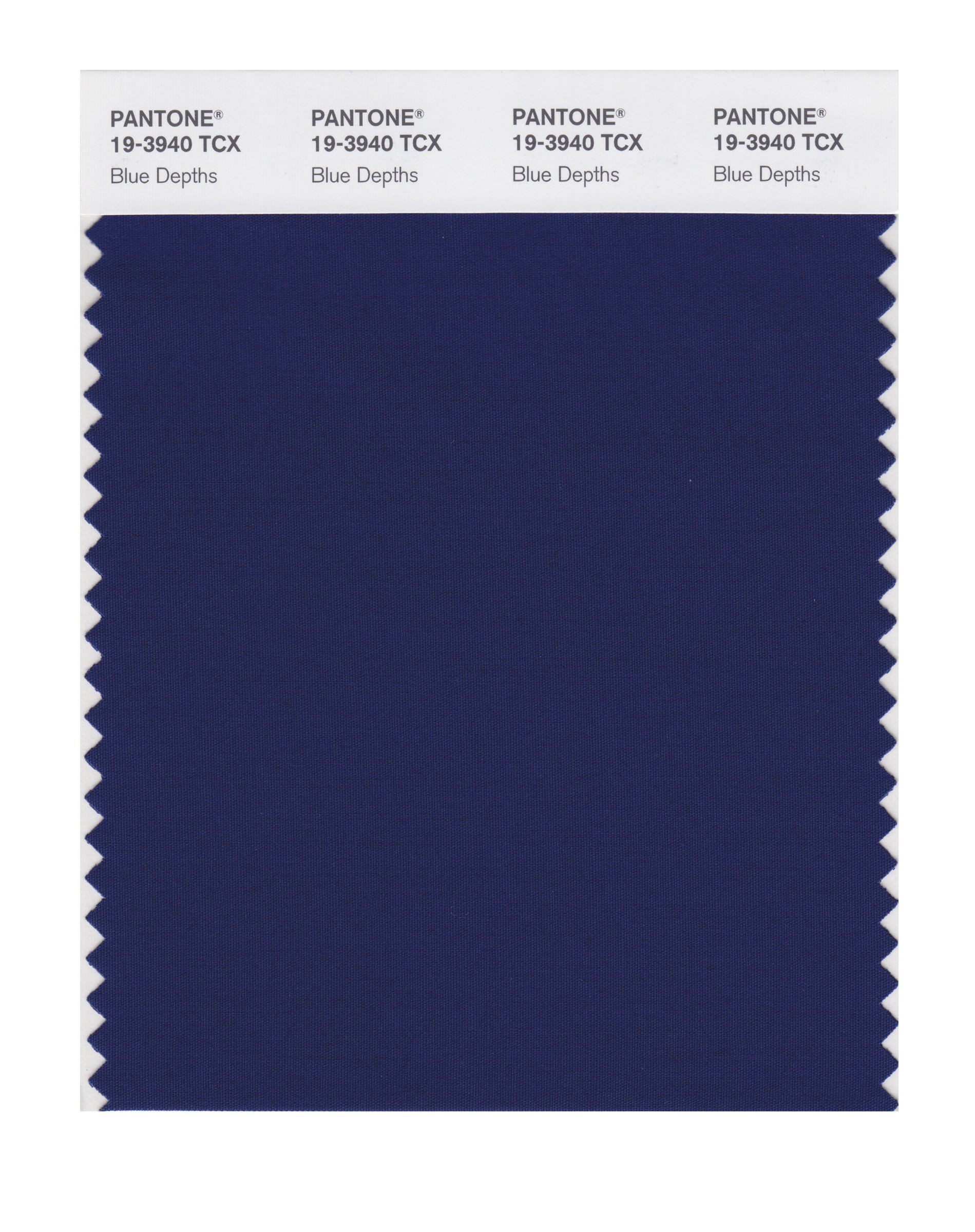 Amazon.com: PANTONE Smart 19-3940X Color Swatch Card, Blue Depths