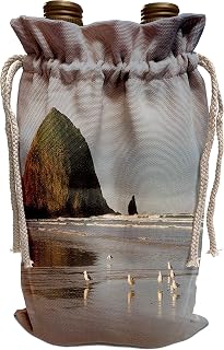 Danita Delimont - Oregon - Haystack Rock on Cannon Beach, Oregon - Wine Bag (wbg_314980_1)