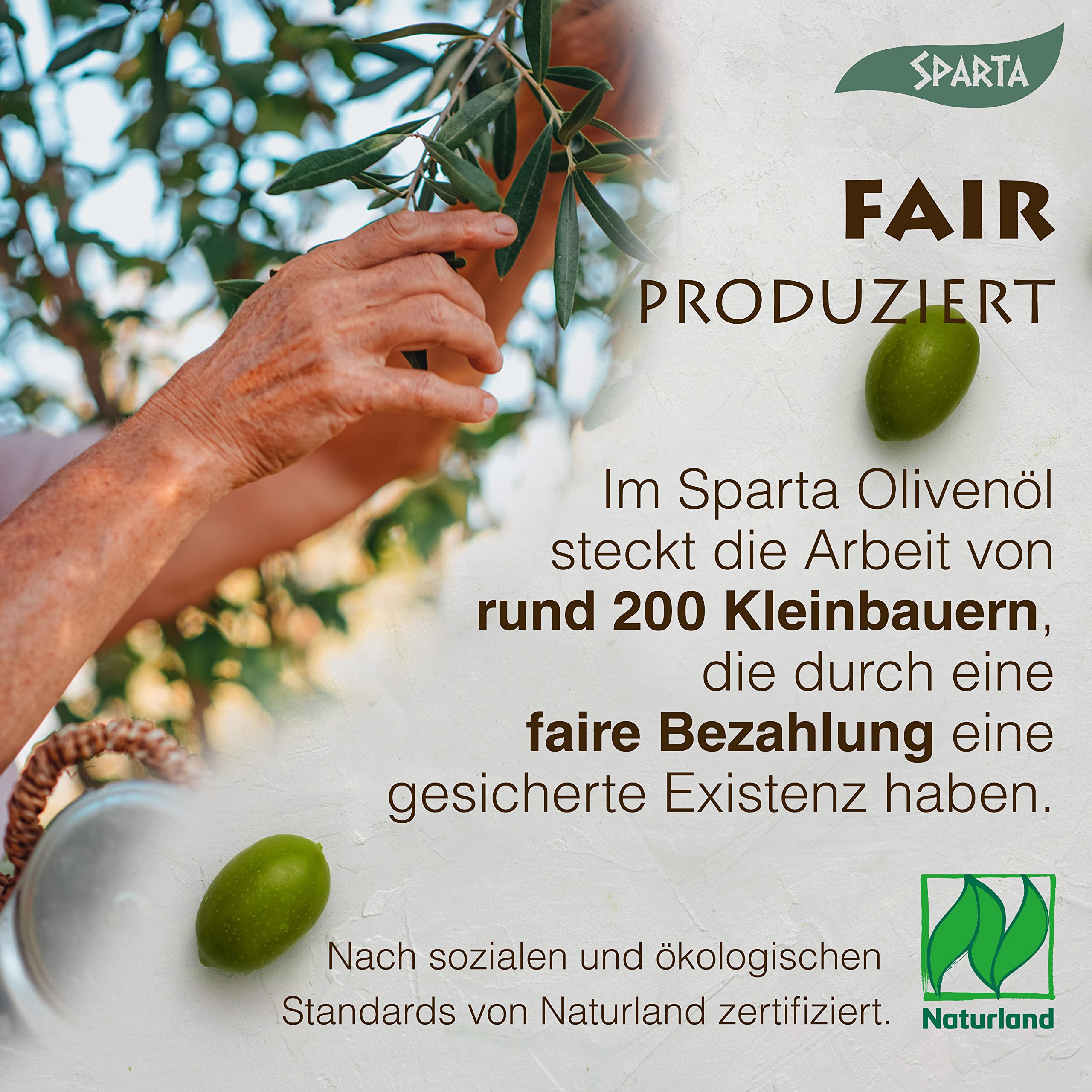 SPARTA Olivenöl erleben – BIO nativ-extra 1 l | Genieße gesunden Geschmack aus Griechenland