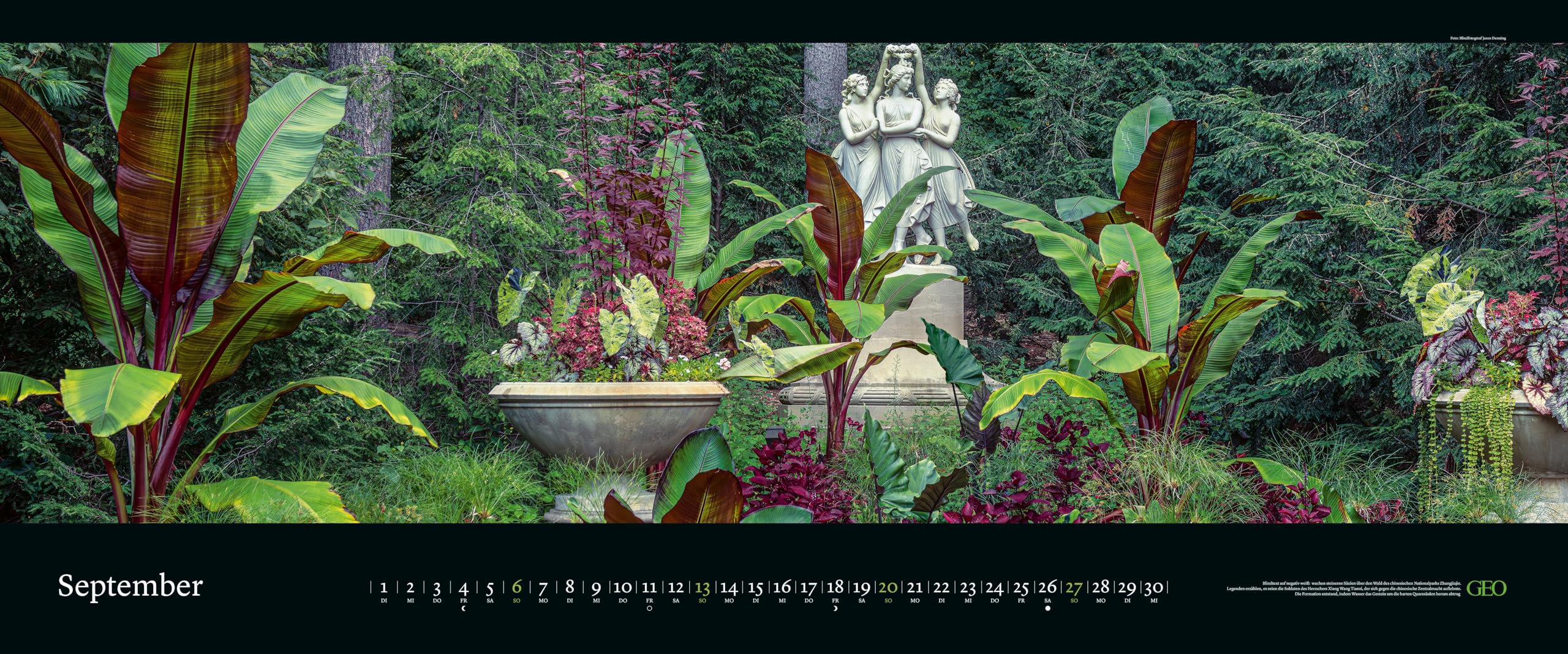 GEO - GEO Panorama: Die schönsten Gärten 2026 – XXL Wandkalender 120x50 cm, Panorama-Kalender mit Gartenfotografie, 12 Monatsblätter & Spiralbindung für Natur- und Gartenliebhaber