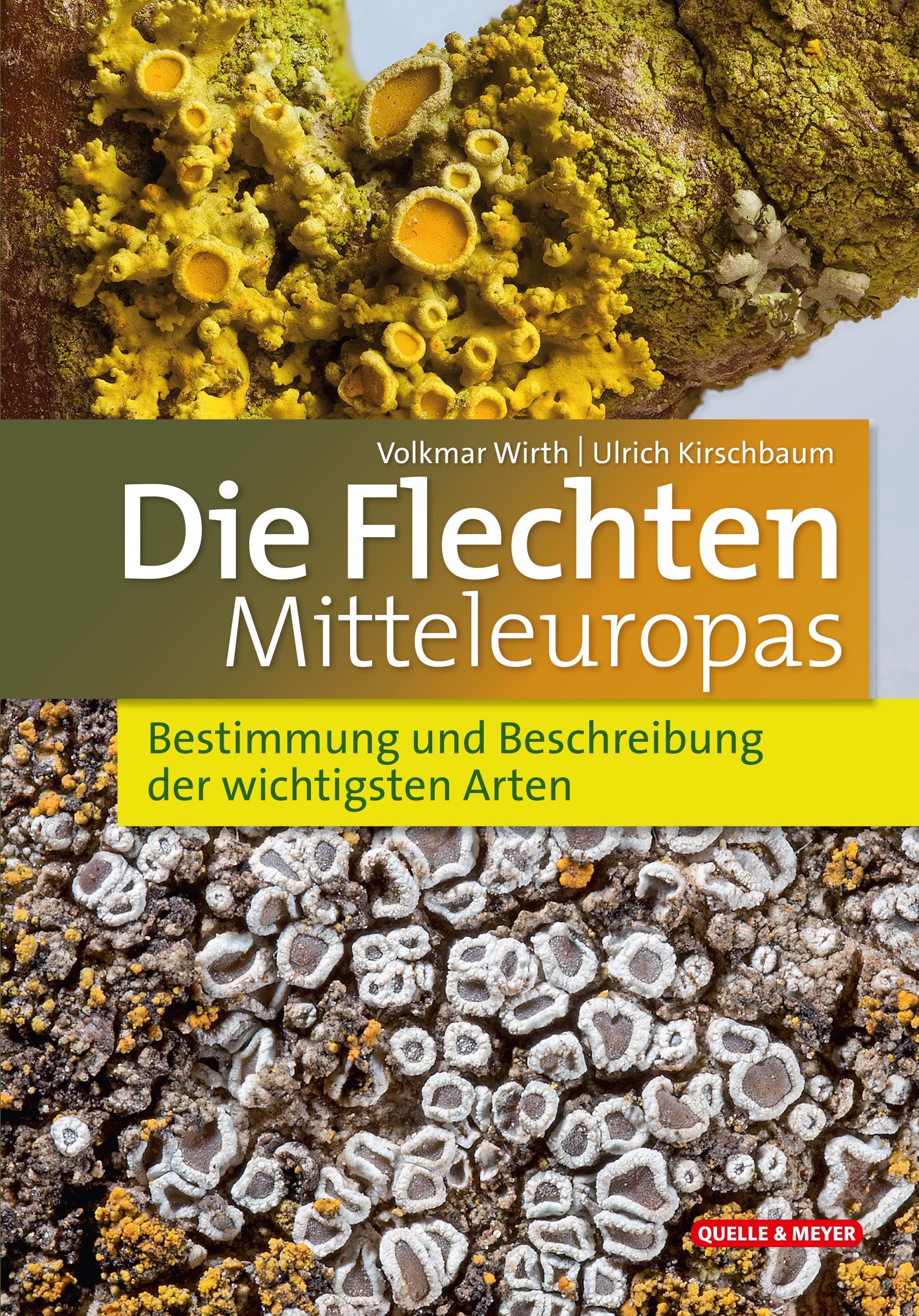 Die Flechten Mitteleuropas: Bestimmung und Beschreibung der wichtigsten Arten