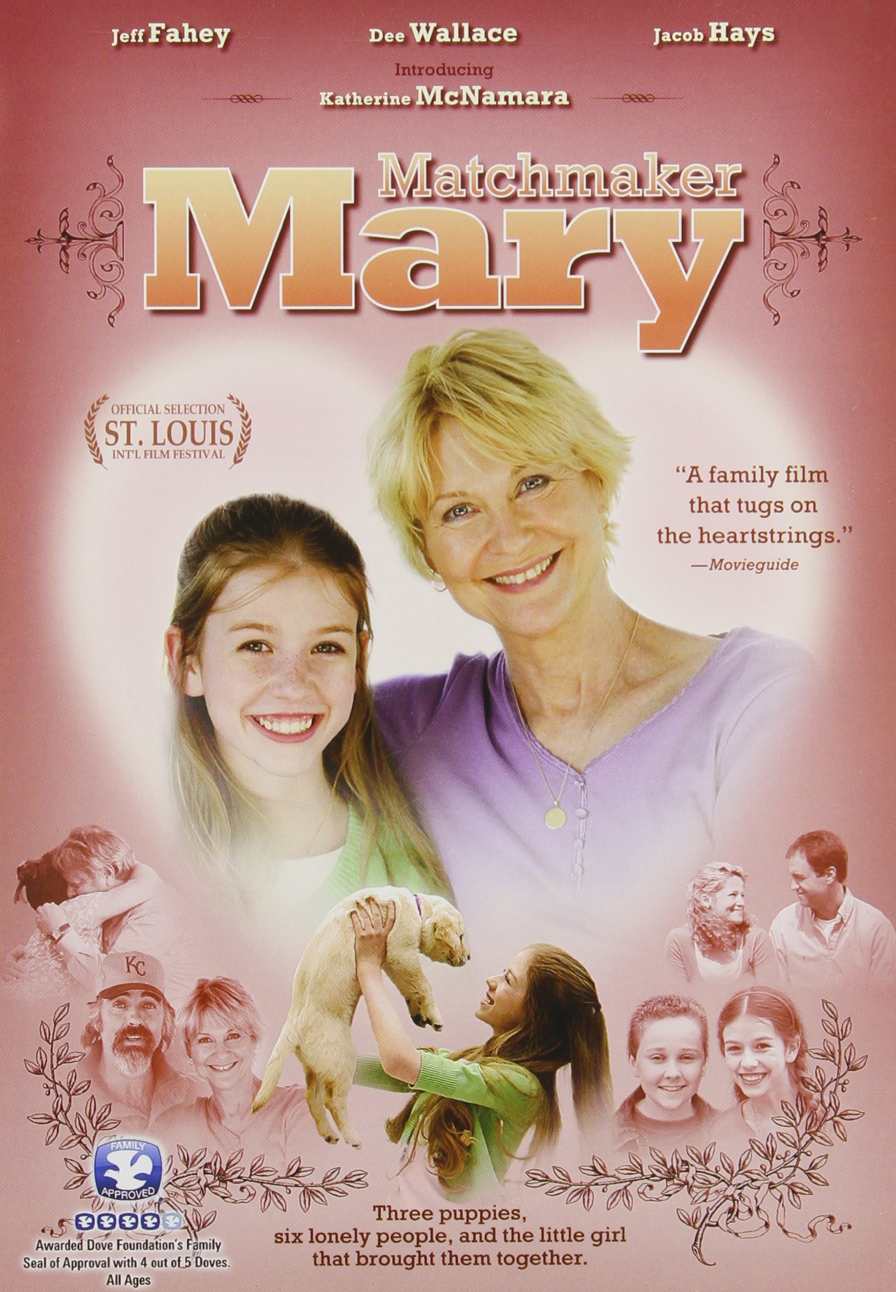 Matchmaker Mary DVD importación Reino Unido película drama familiar PAL