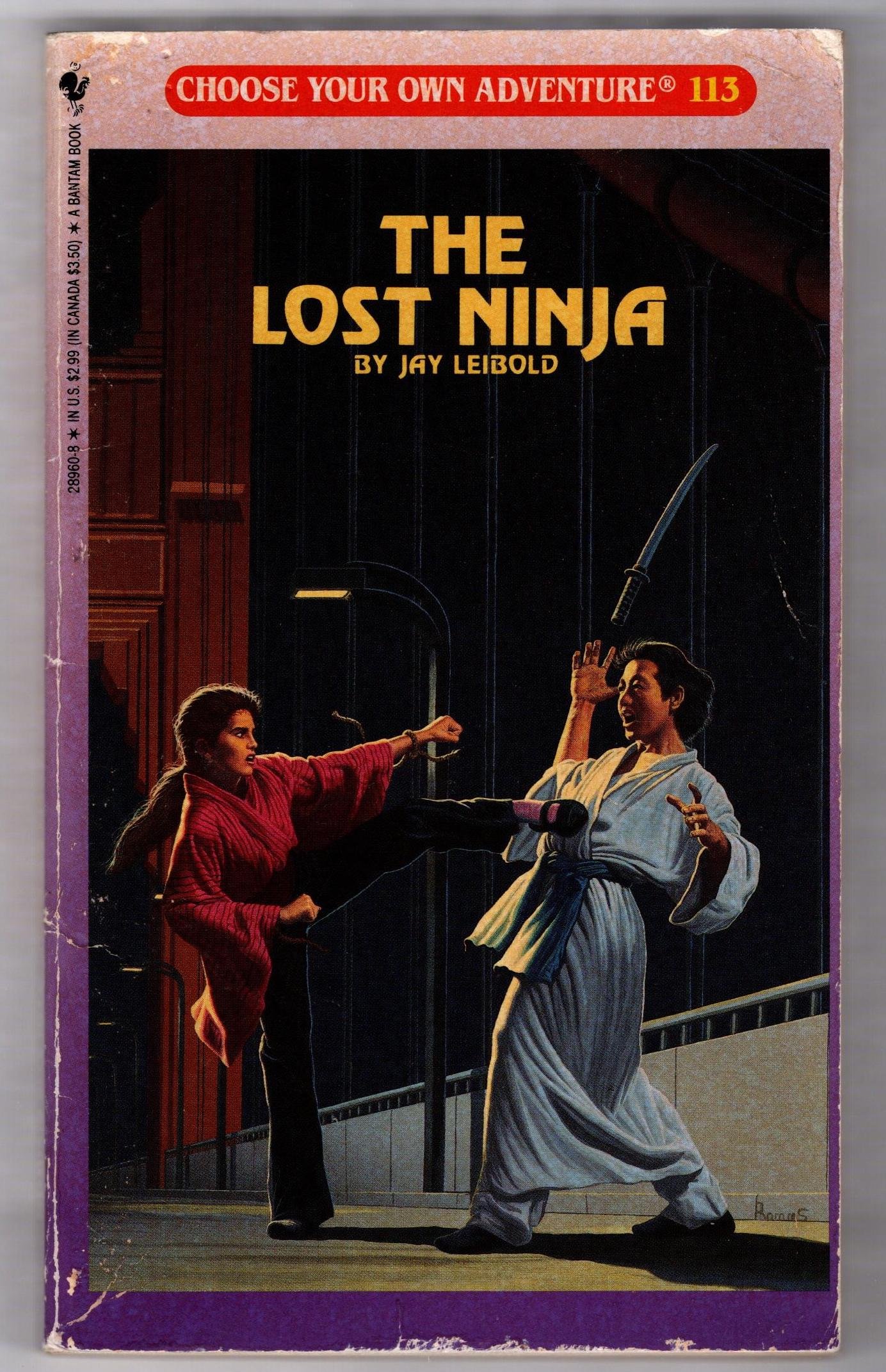 Book cover for The Lost Ninja