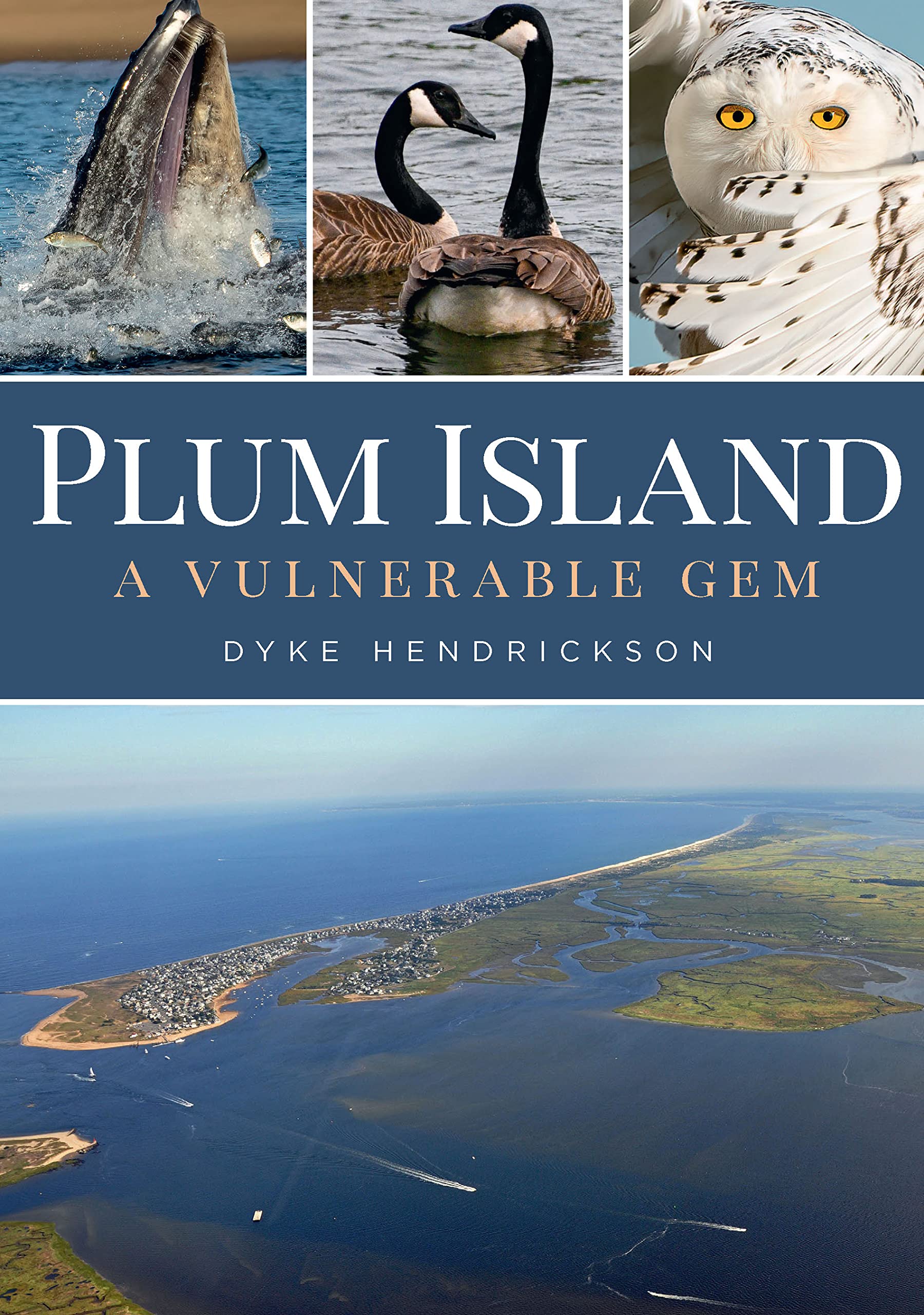 Plum Island: A Vulnerable Gem