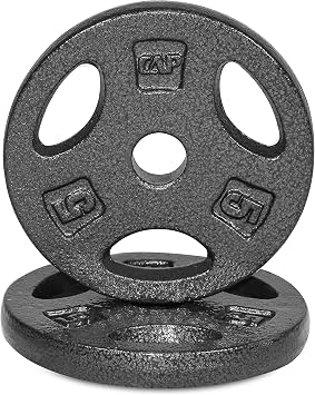 WF Athletic Supply Cast Iron 1-Inch Standard Grip Weight Plate for Strength Training, Charcoal or Gray Color - Multiple Choices Available