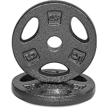 WF Athletic Supply Cast Iron 1-Inch Standard Grip Weight Plate for Strength Training, Charcoal or Gray Color - Multiple Choices Available